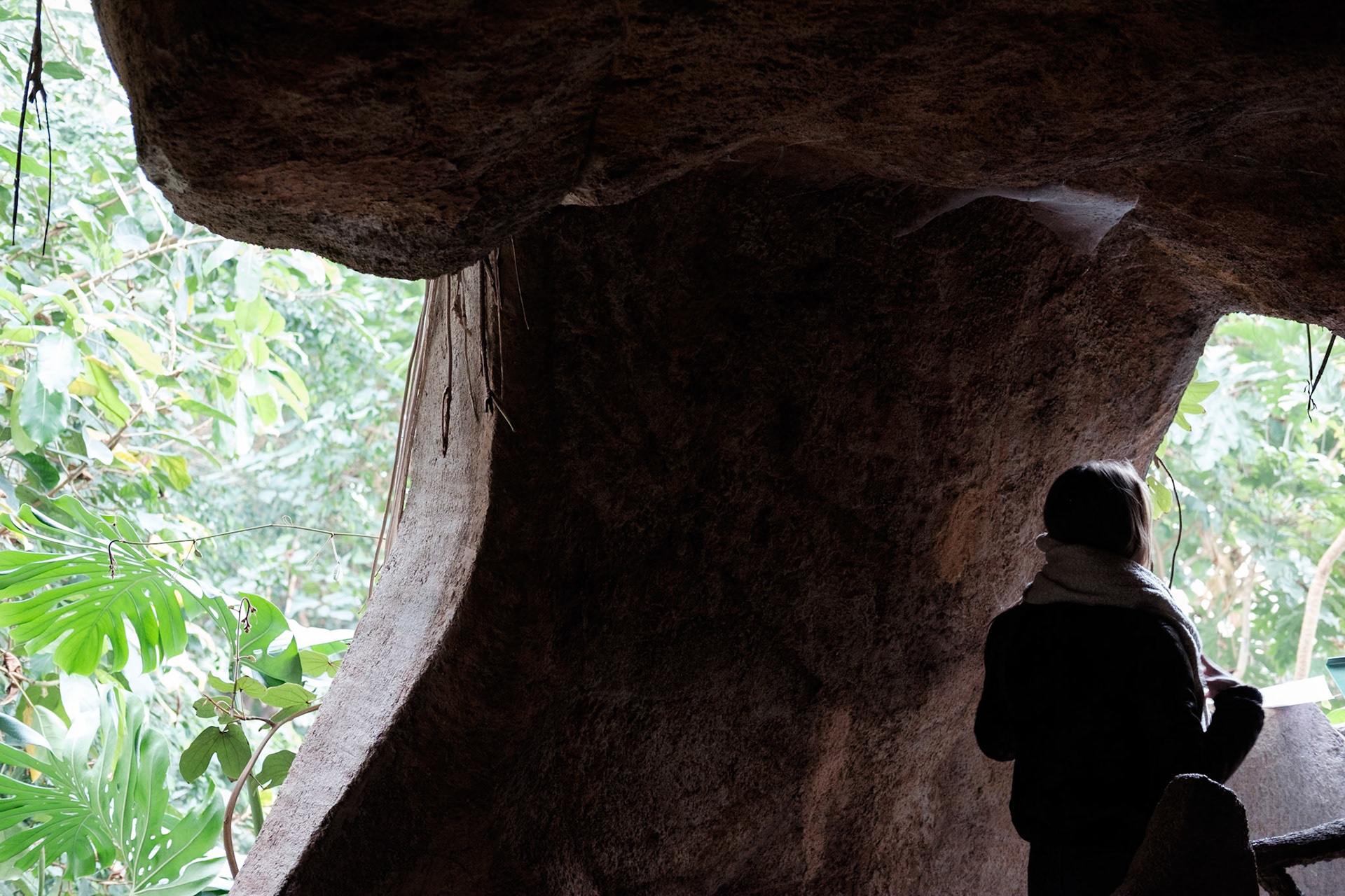 Les Grandes Serres du Jardin des Plantes, Paris.