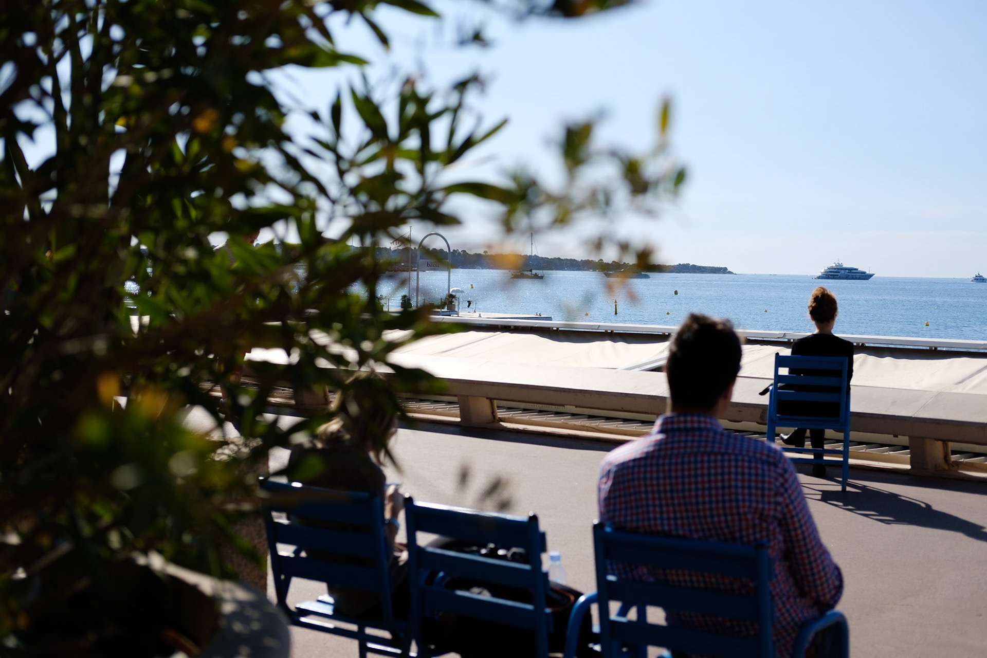 Cannes, Alpes Maritmes, France