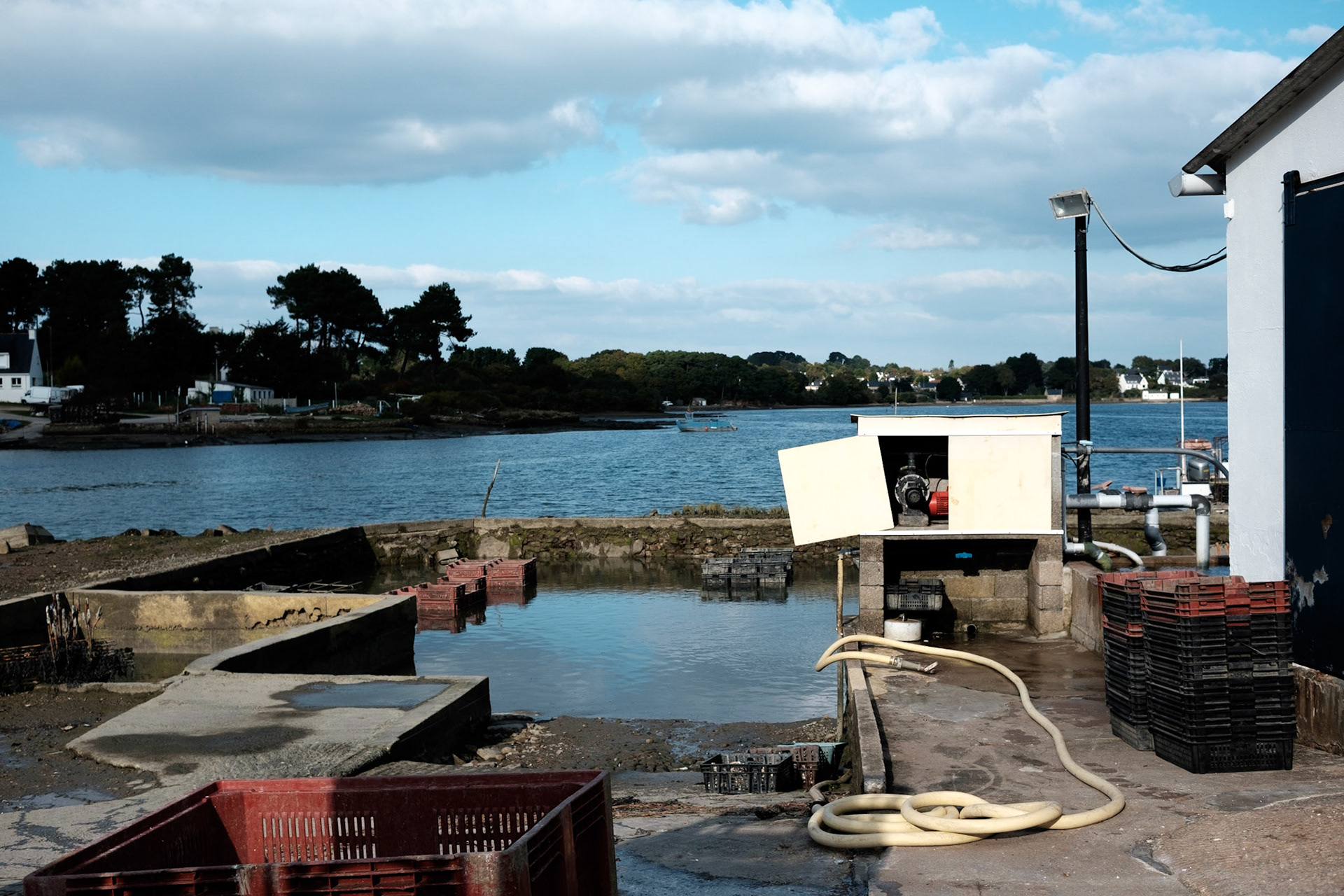 Paysages du Golf de Morbihan, Bretagne, France.