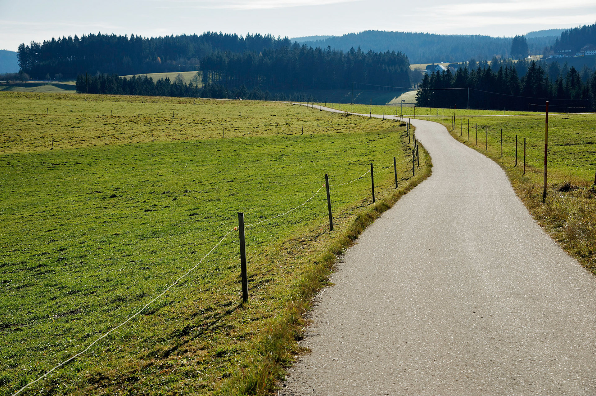 Paysages de Forêt Noire, Allemagne.