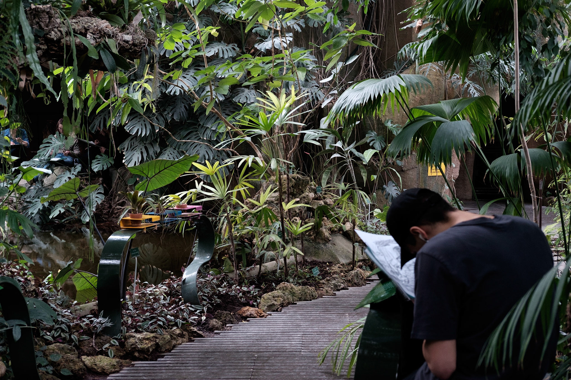 Les Grandes Serres du Jardin des Plantes, Paris.