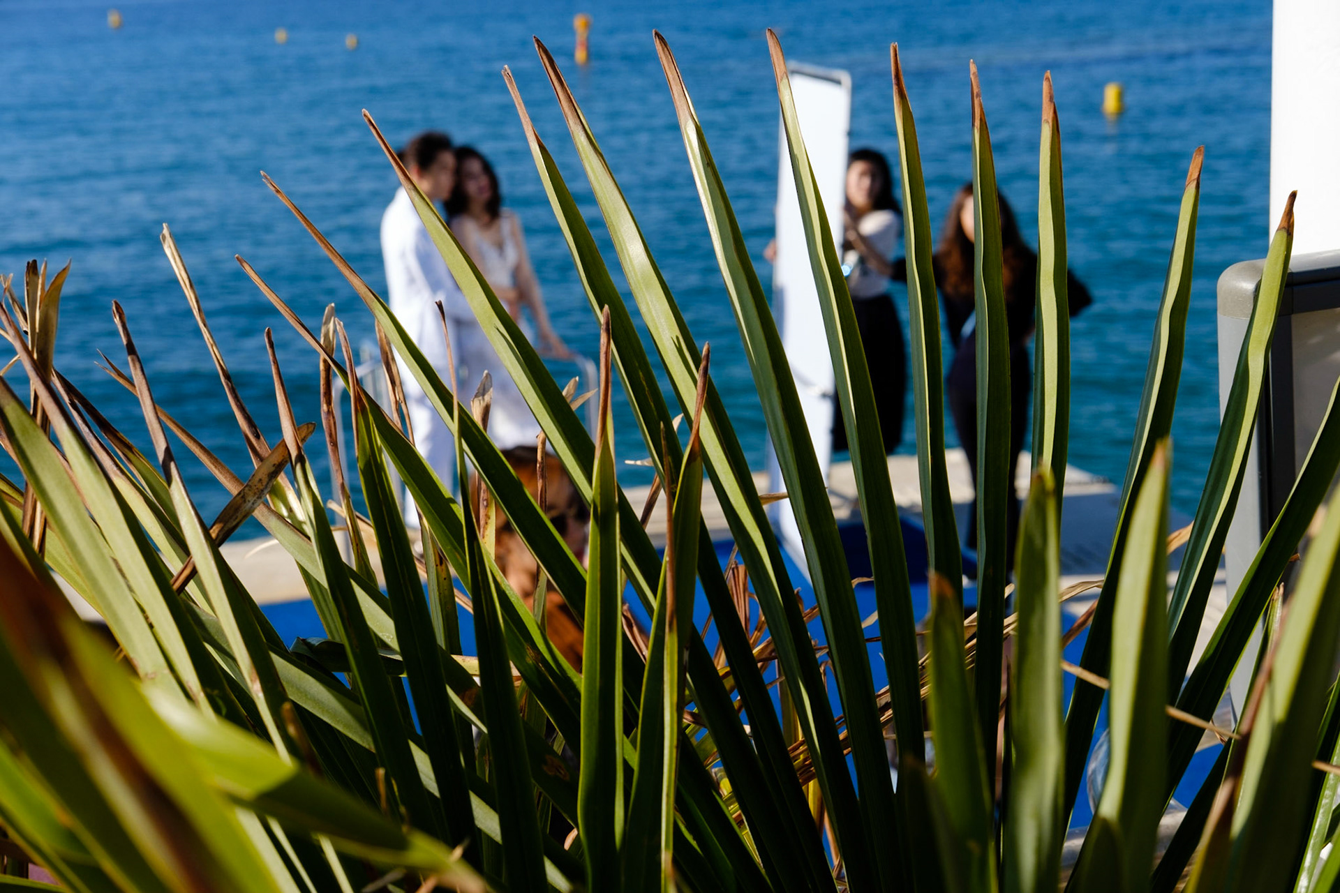 Cannes, Alpes Maritmes, France