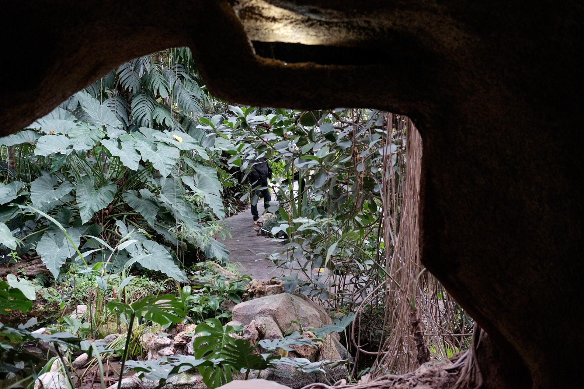 Les Grandes Serres du Jardin des Plantes, Paris.