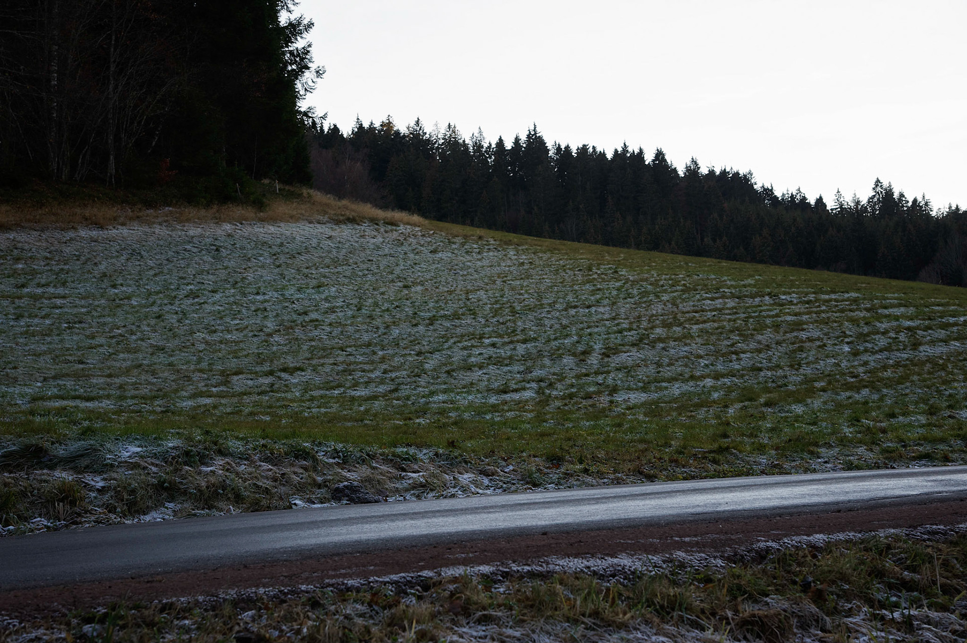 Paysages de Forêt Noire, Allemagne.