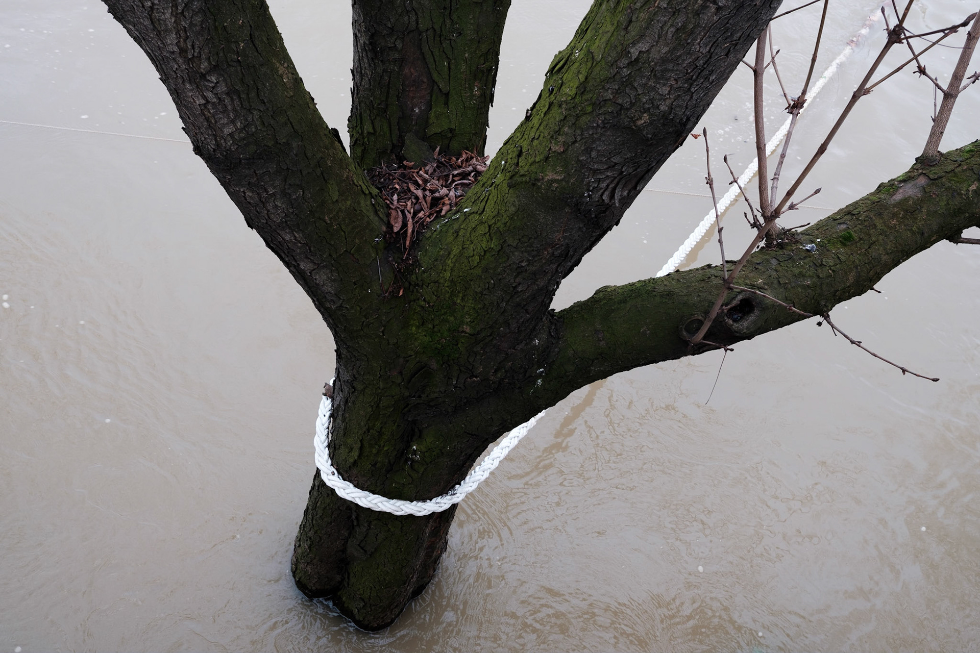 Inondation 2018. Paris
