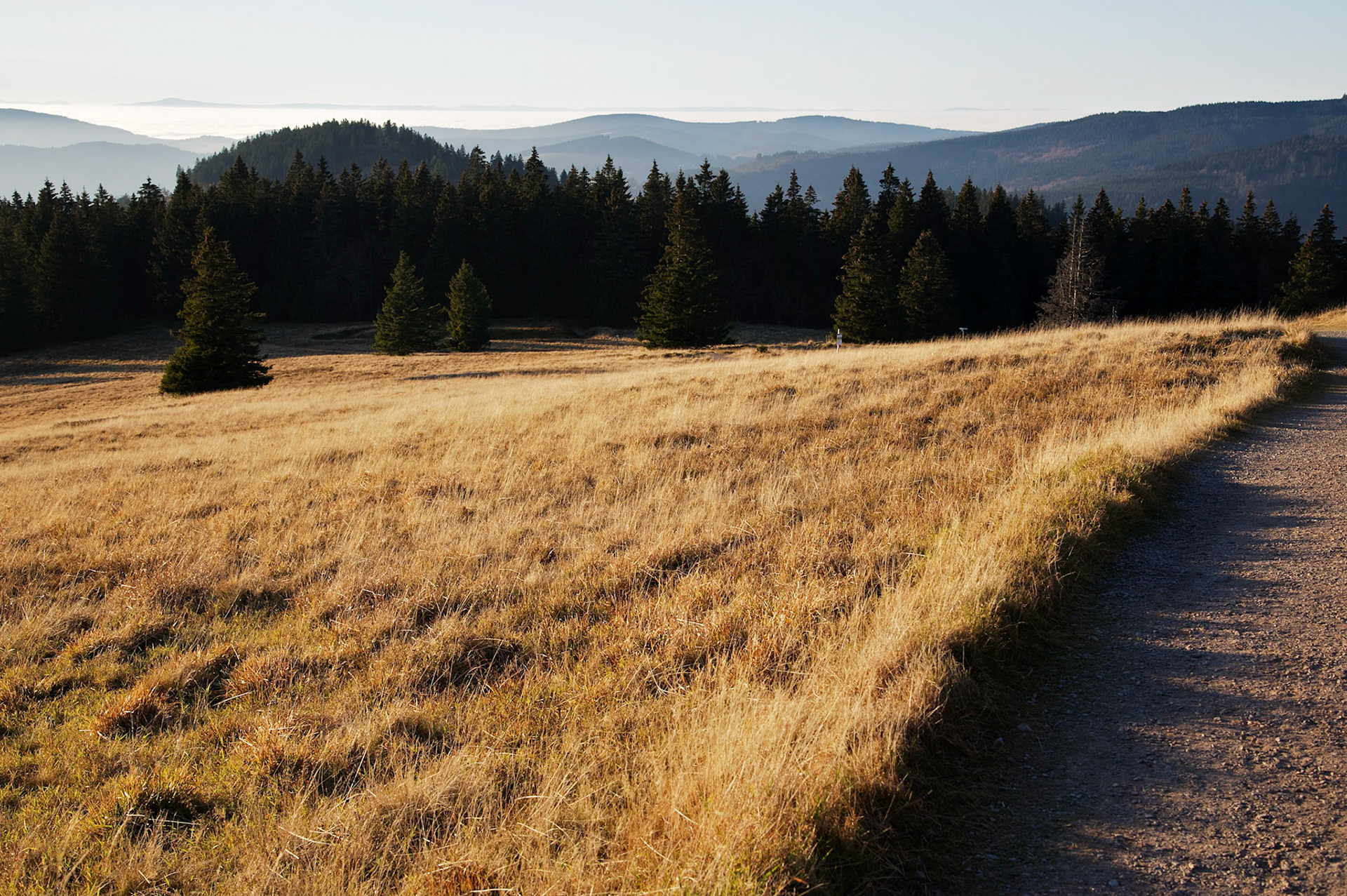 Paysages de Forêt Noire, Allemagne.