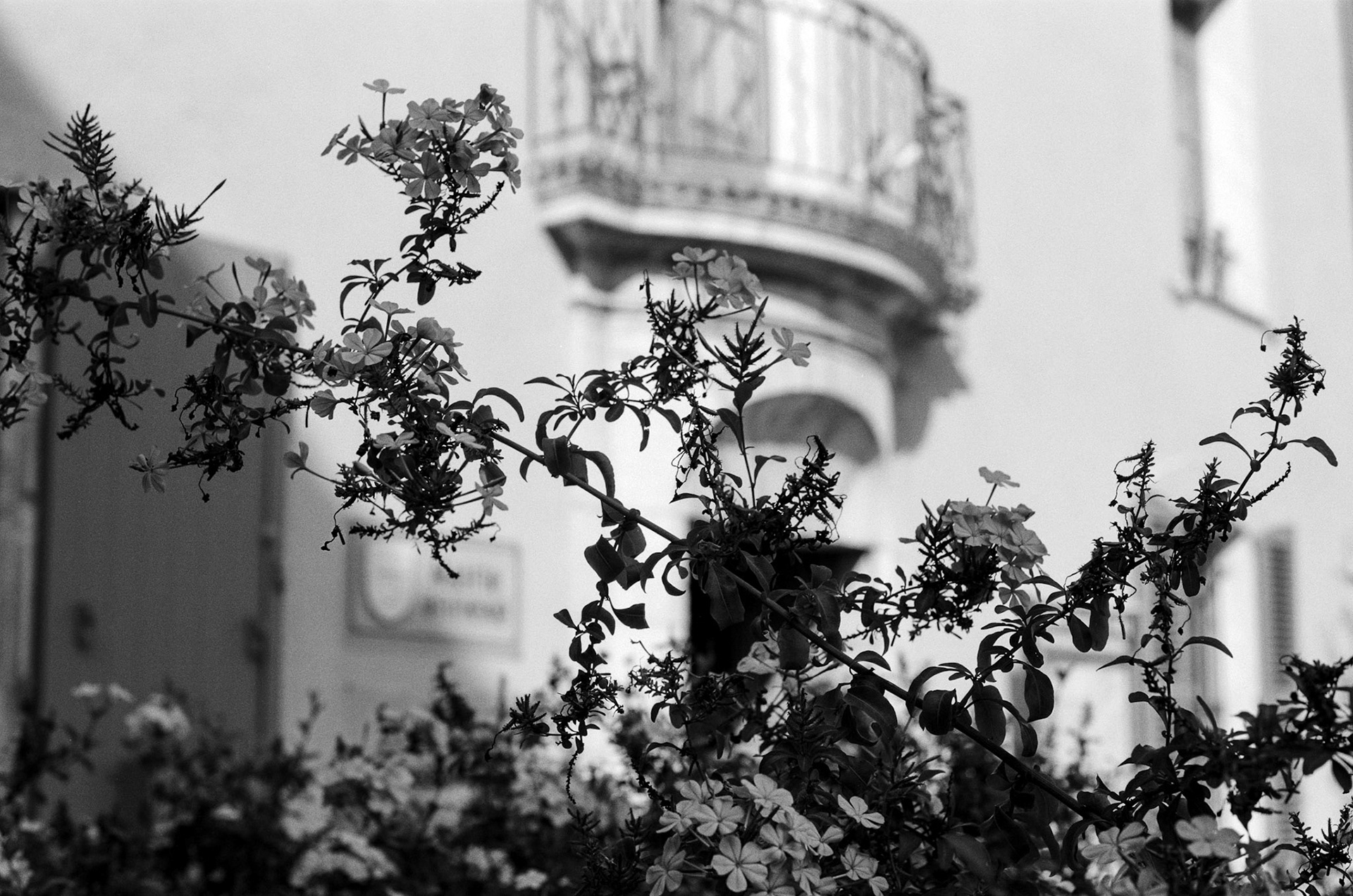 Je naissais.  je découvrais