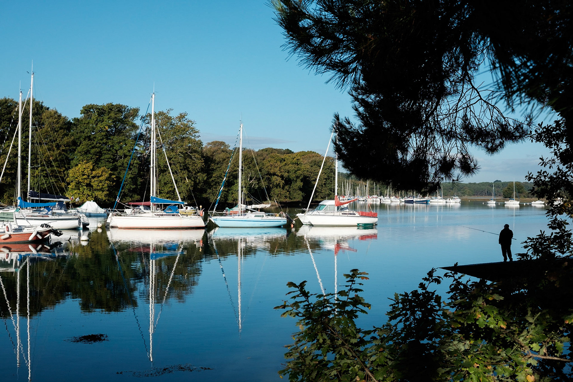 Paysages du Golf de Morbihan, Bretagne, France.