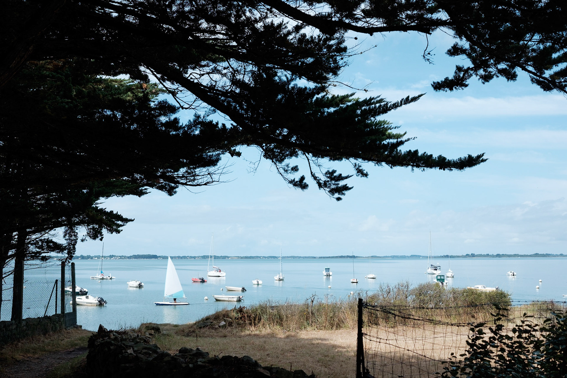 Paysages du Golf de Morbihan, Bretagne, France.