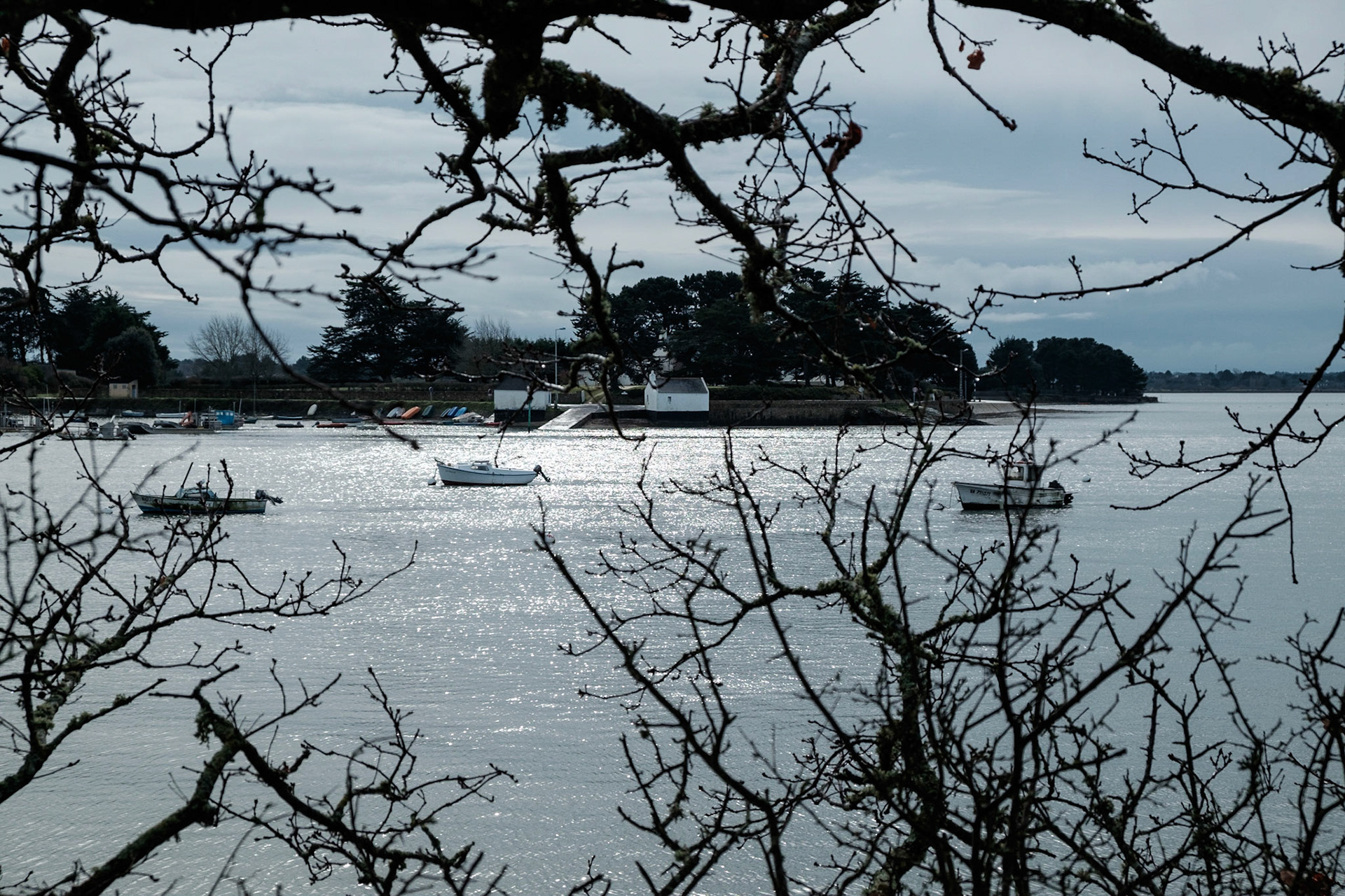 Paysages du Golf de Morbihan, Bretagne, France.