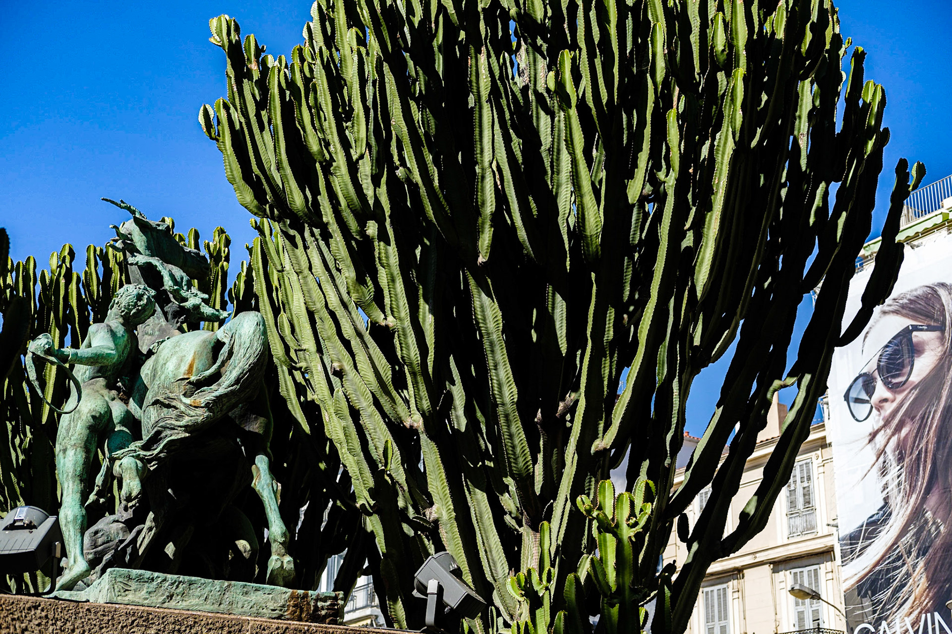 Cannes, Alpes Maritmes, France