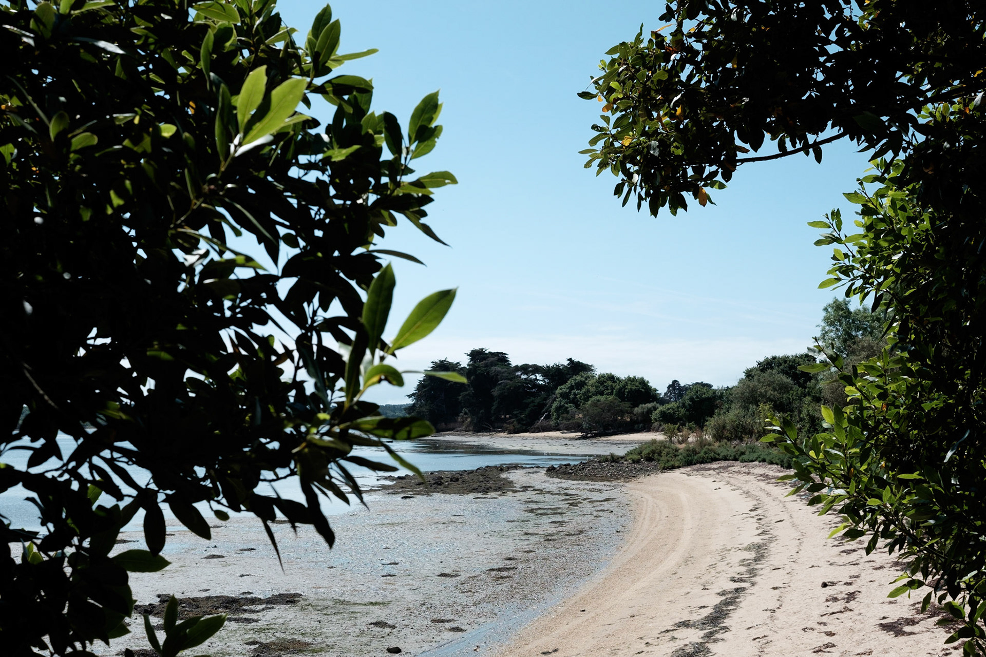 Paysages du Golf de Morbihan, Bretagne, France.