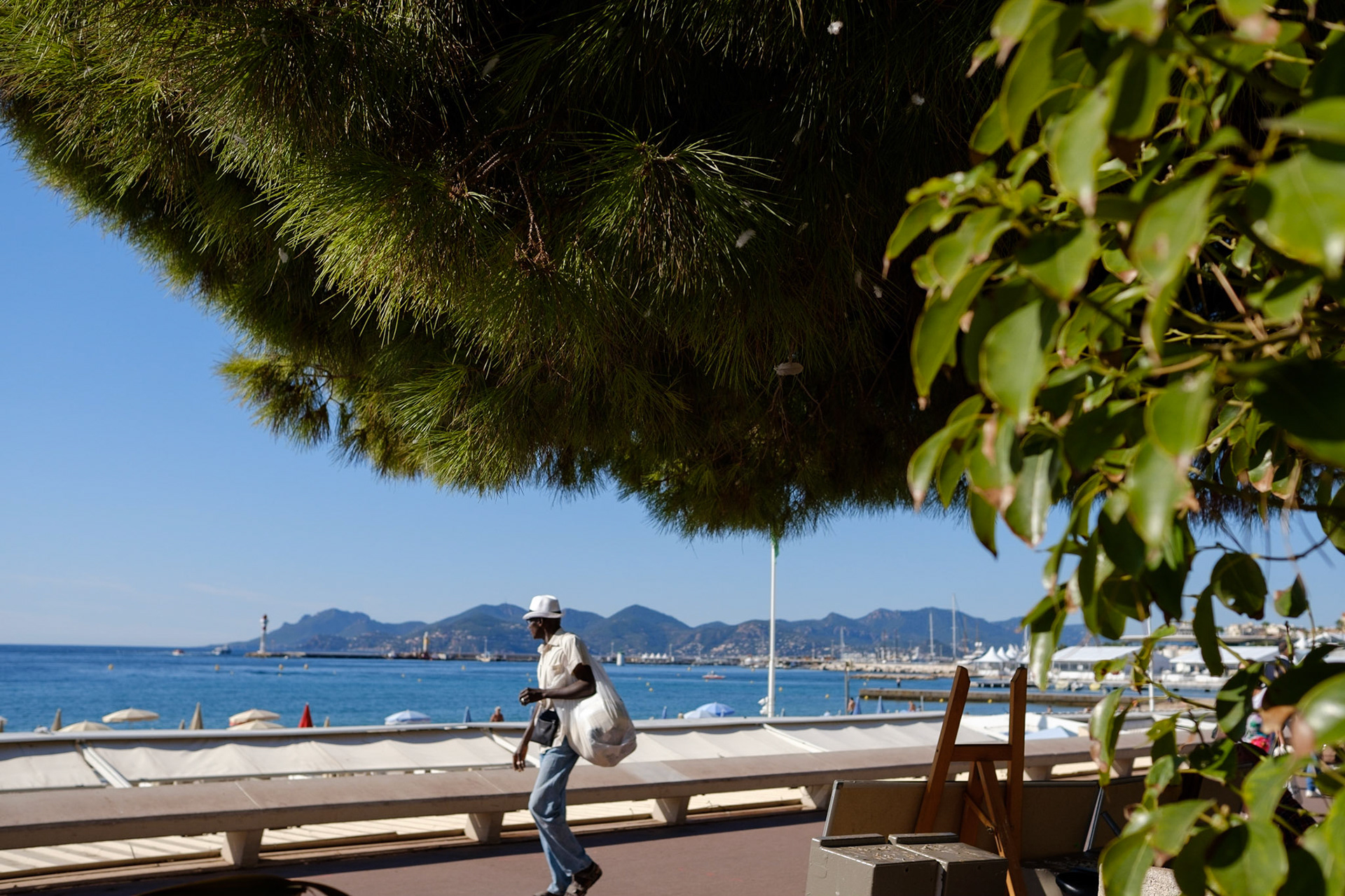 Cannes, Alpes Maritmes, France