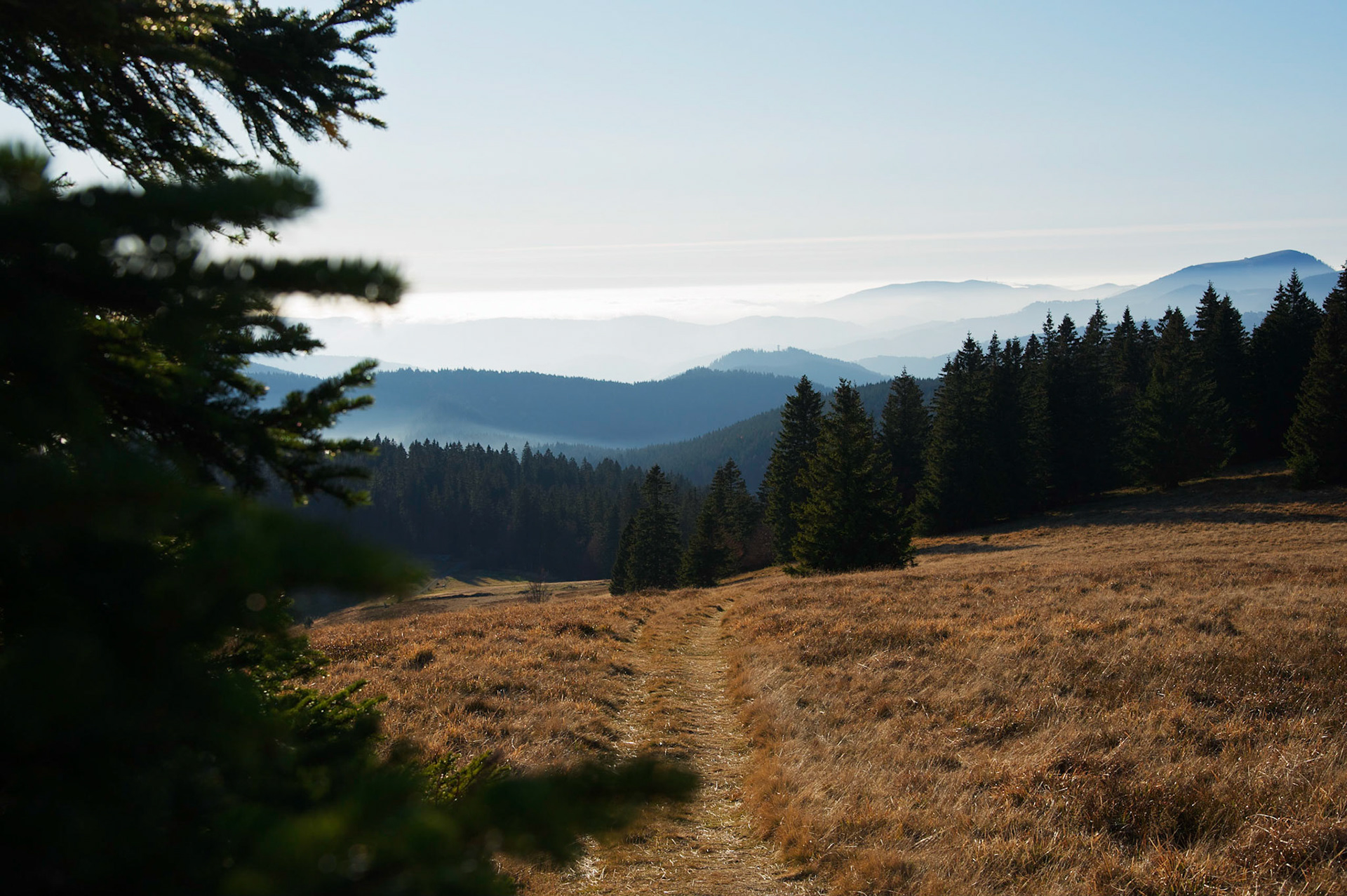 Paysages de Forêt Noire, Allemagne.