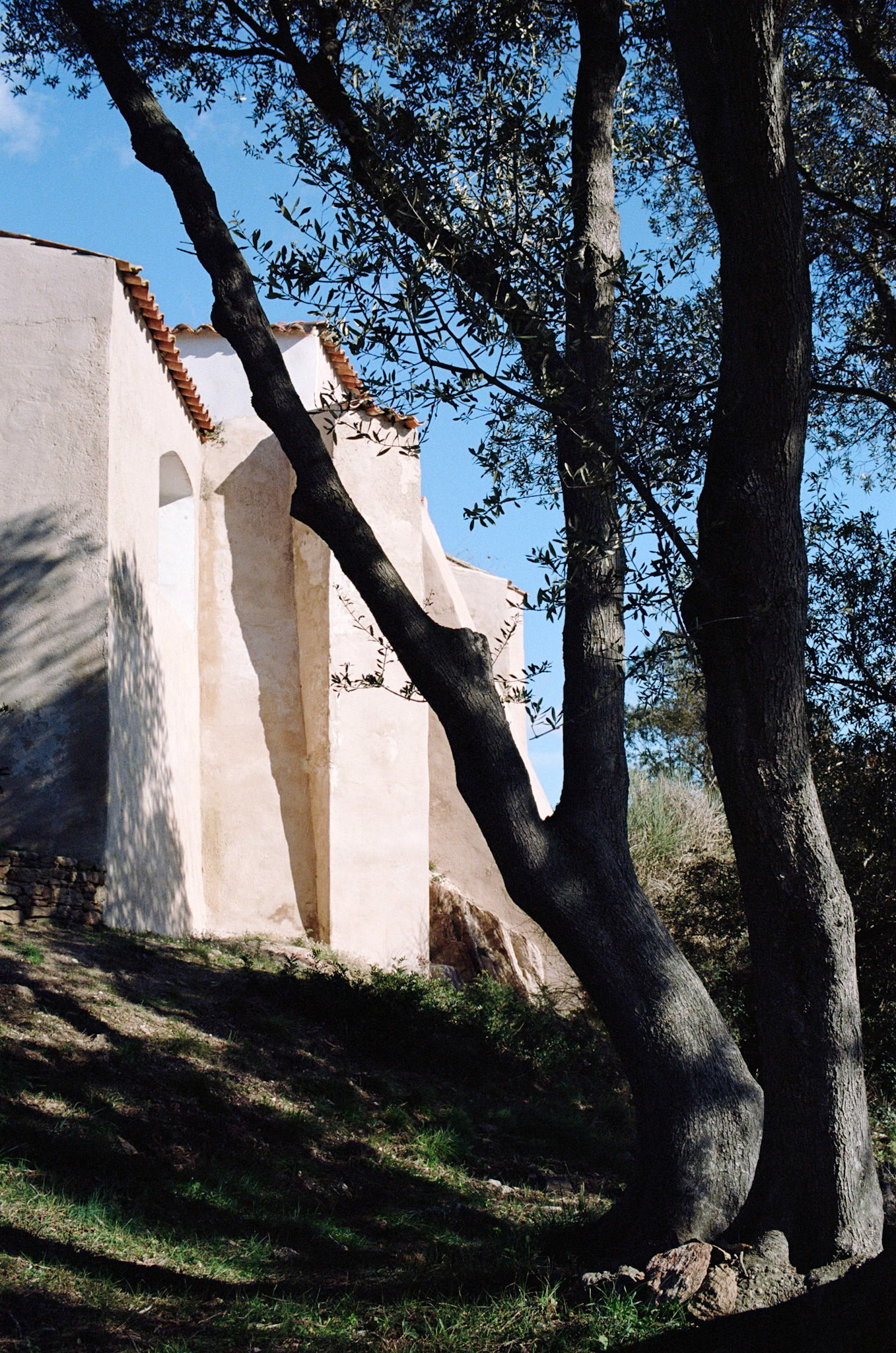 Nous avons gravi la montagne.  Et puis tout à coup elle est apparue, planquée dans les arbres.  A quelques mètres un promontoire avec une vue imprenable.  Elle a dessiné...