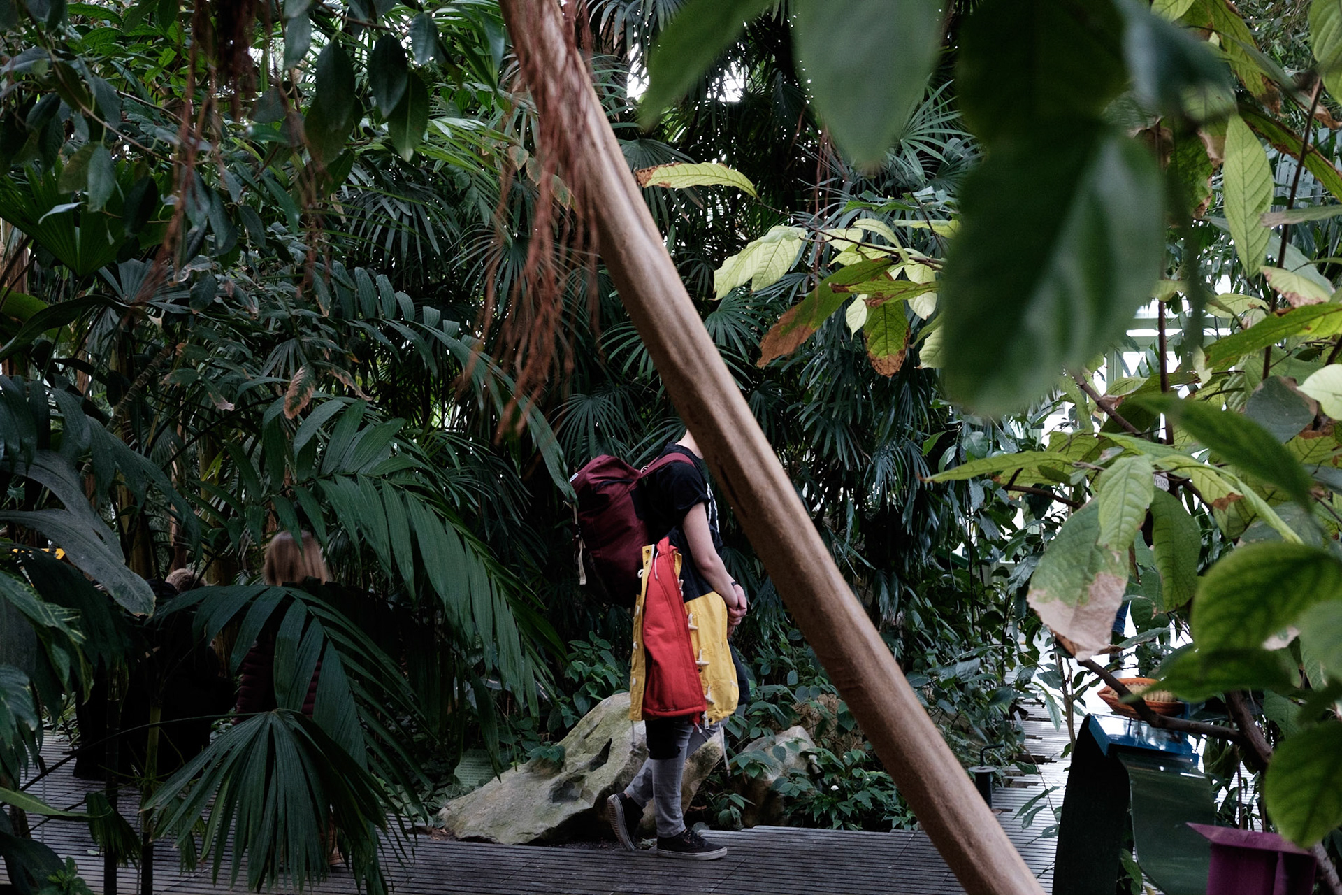 Les Grandes Serres du Jardin des Plantes, Paris.