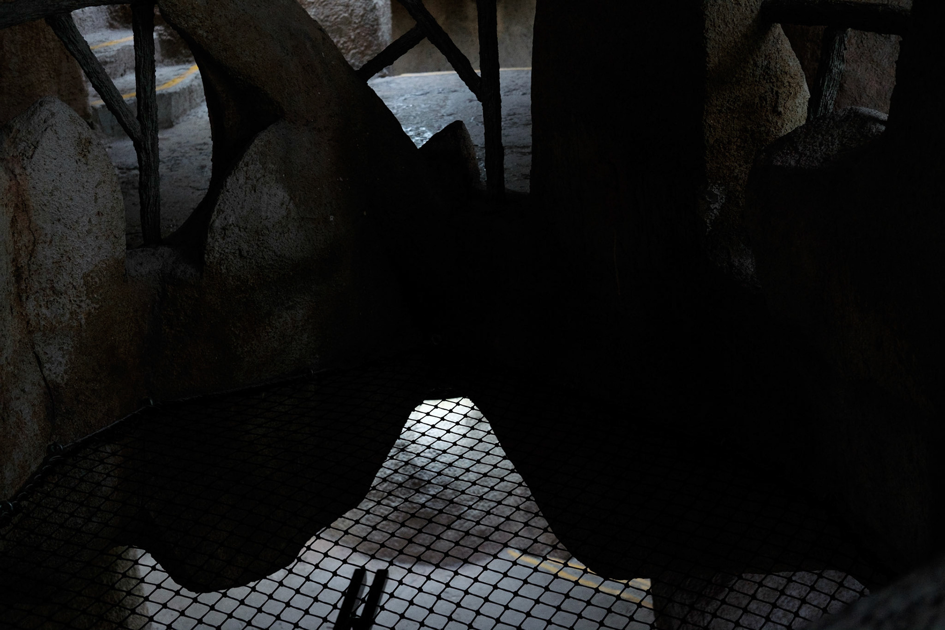 Les Grandes Serres du Jardin des Plantes, Paris.