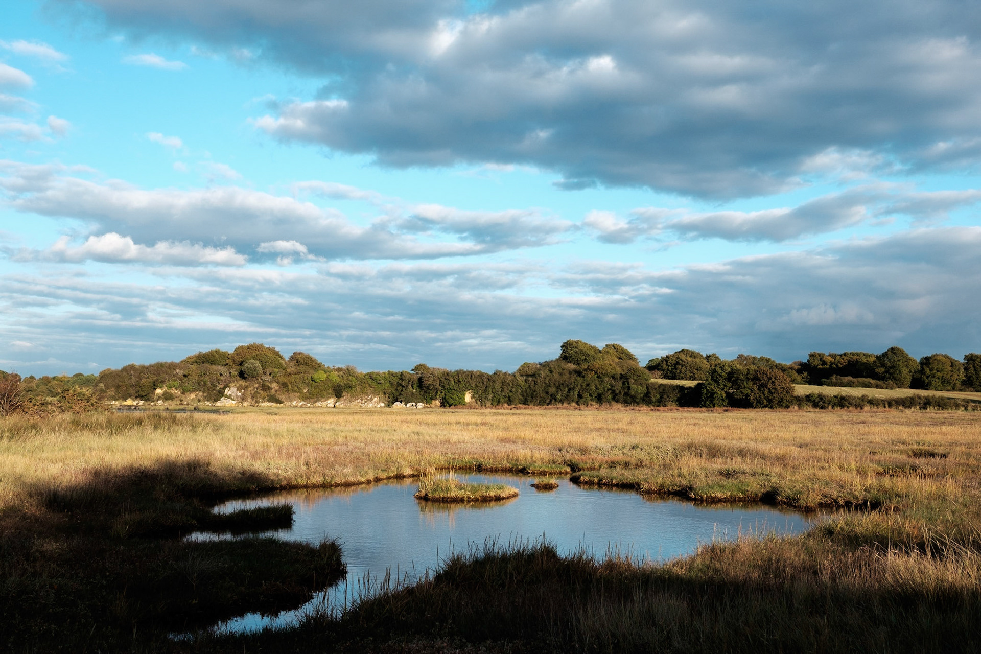 Paysages du Golf de Morbihan, Bretagne, France.