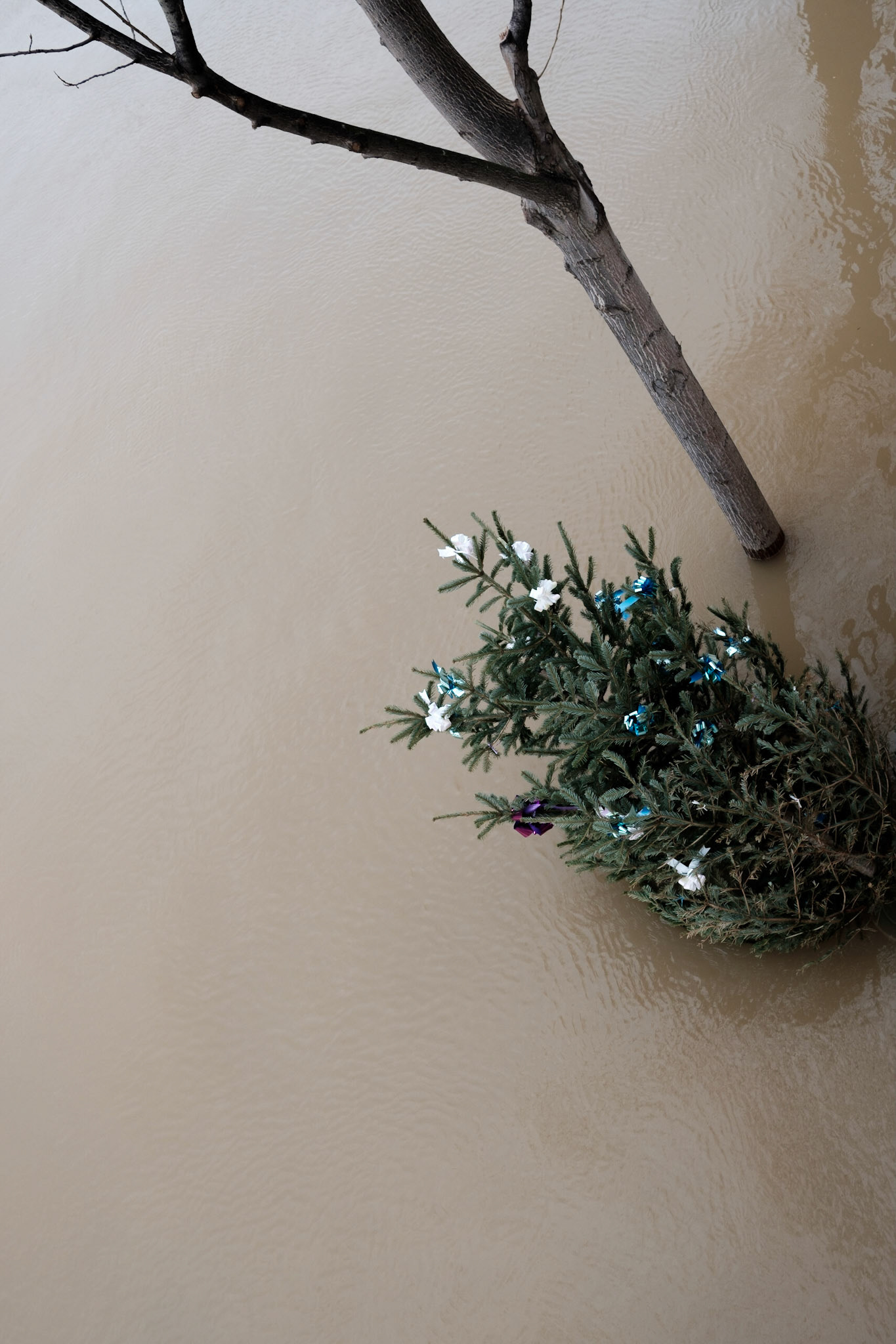 Inondation 2018. Paris