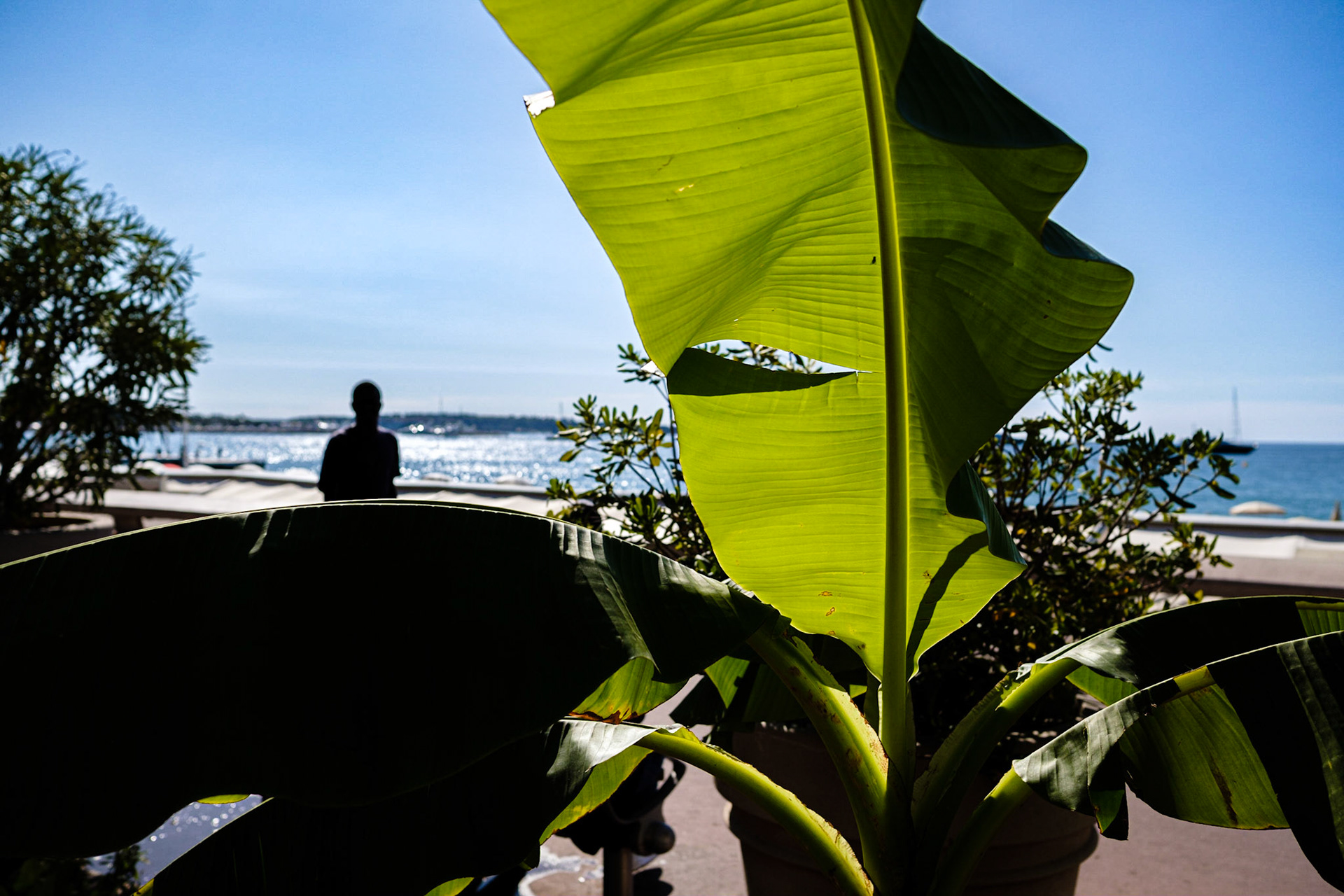 Cannes, Alpes Maritmes, France