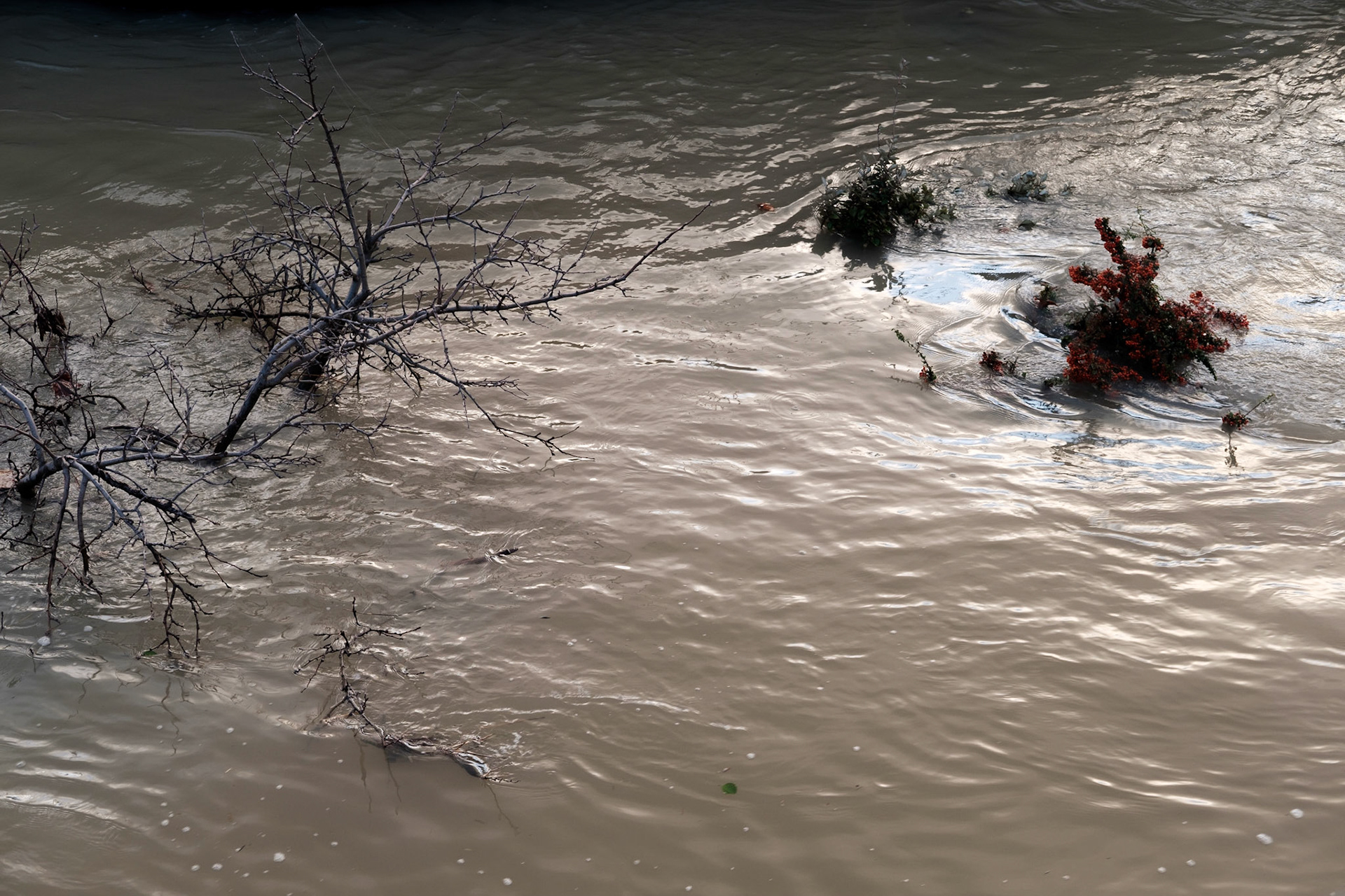 Inondation 2018. Paris