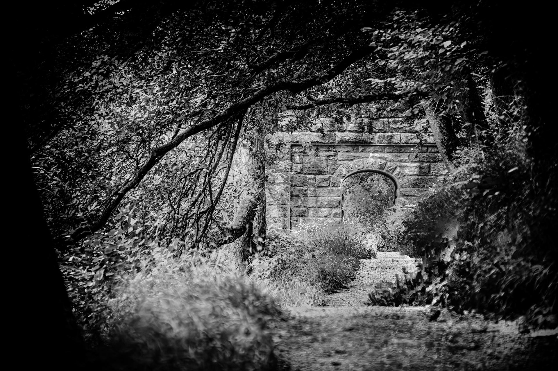 Image by Andy Ainsworth