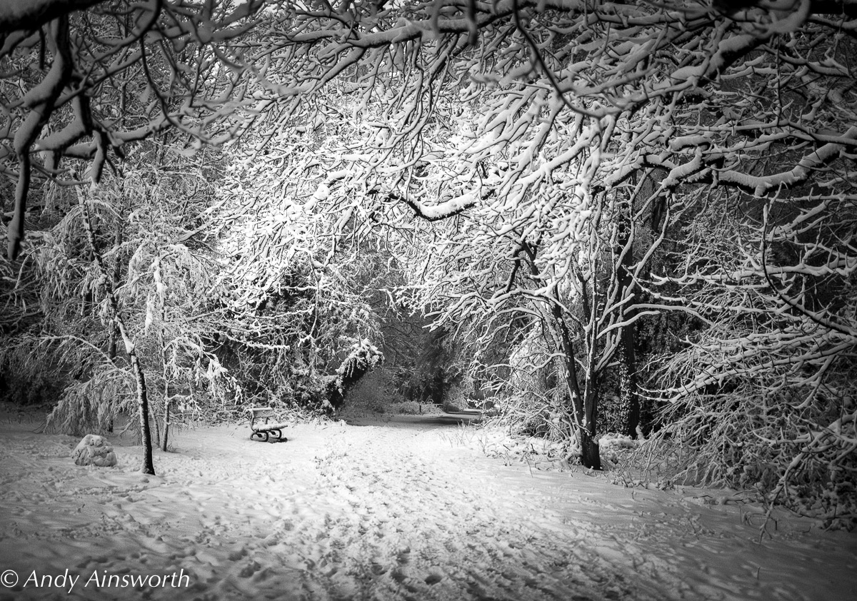 Valley Garden covered in snow by Andy Ainsworth