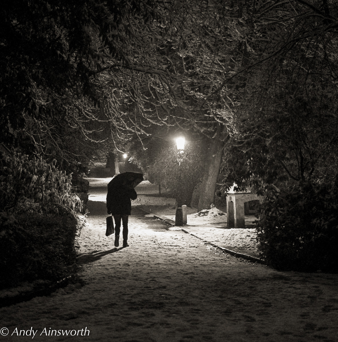 Walking home in the snow Valley Garden Harrogate