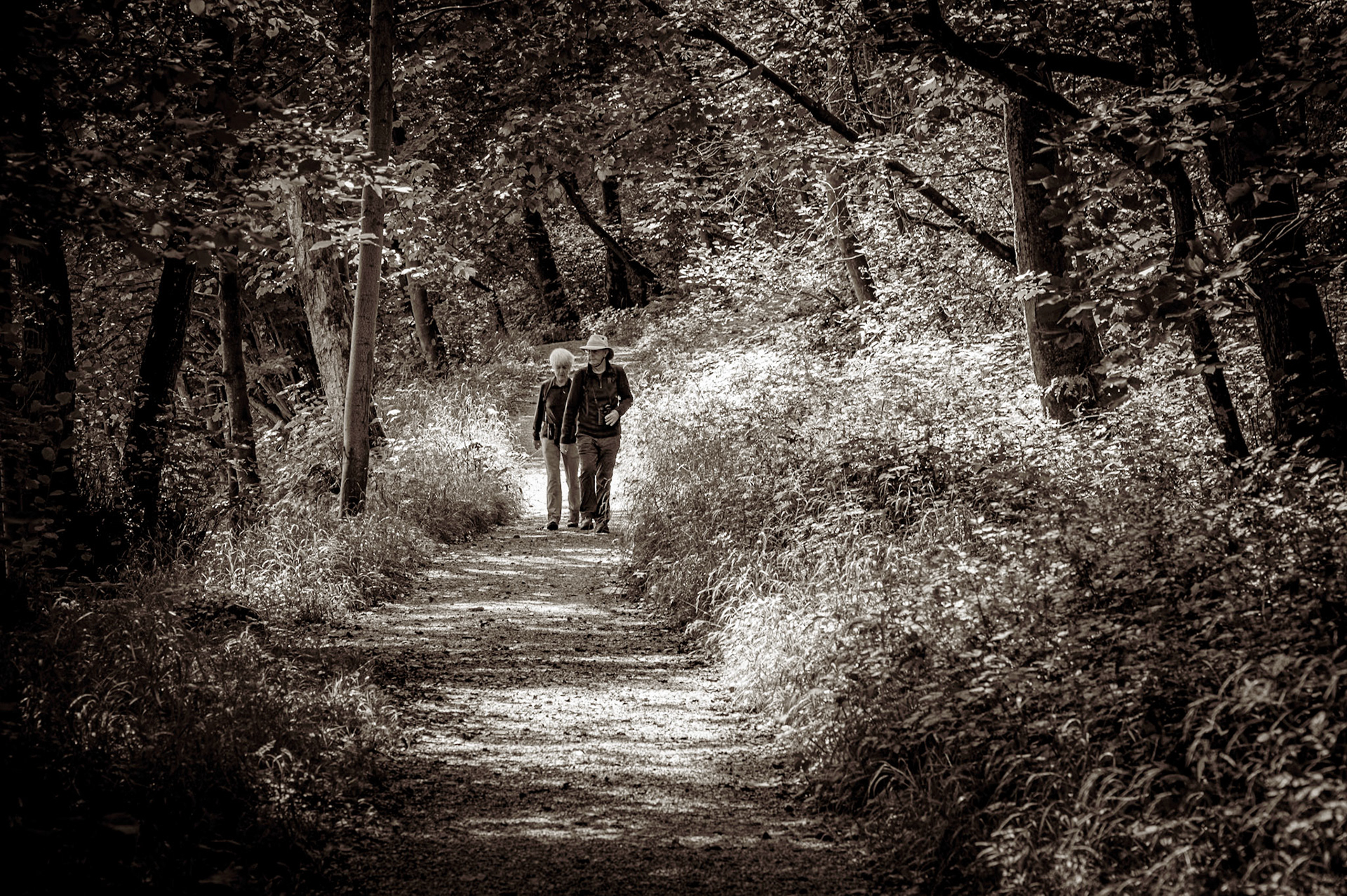 Just a walk in the park. Image by Andy Ainsworth
