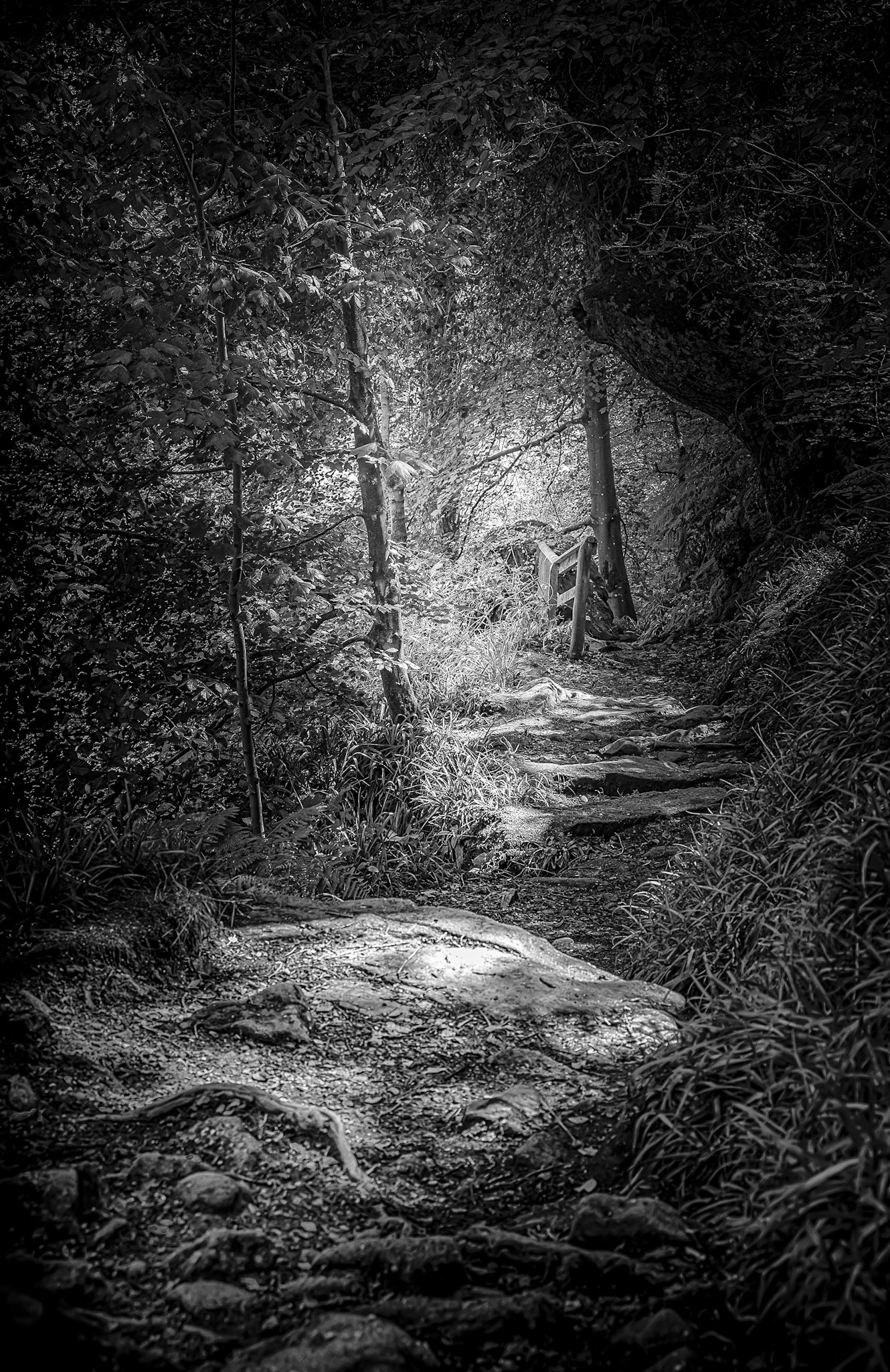 Image by Andy Ainsworth