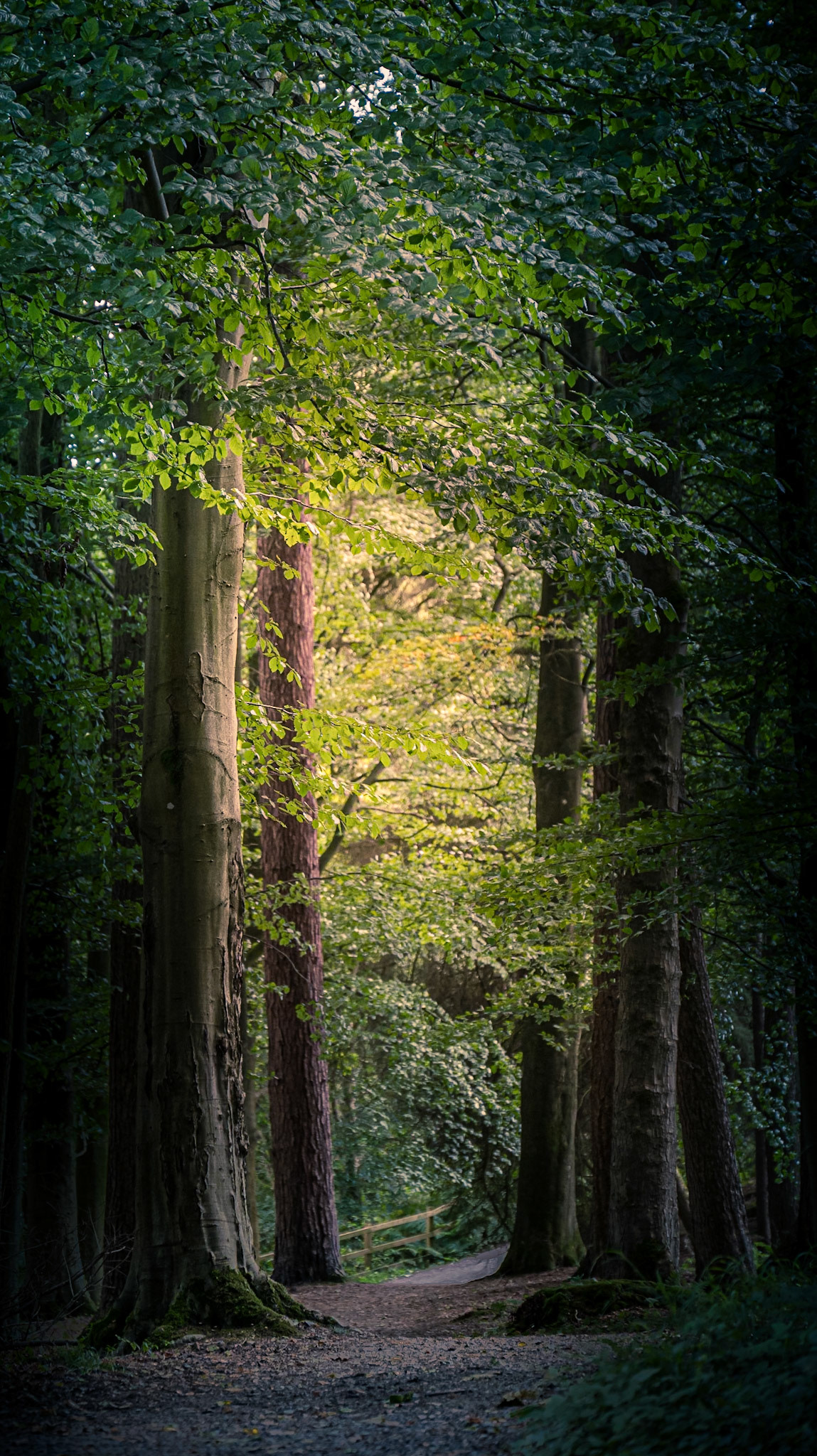 Image by Andy Ainsworth