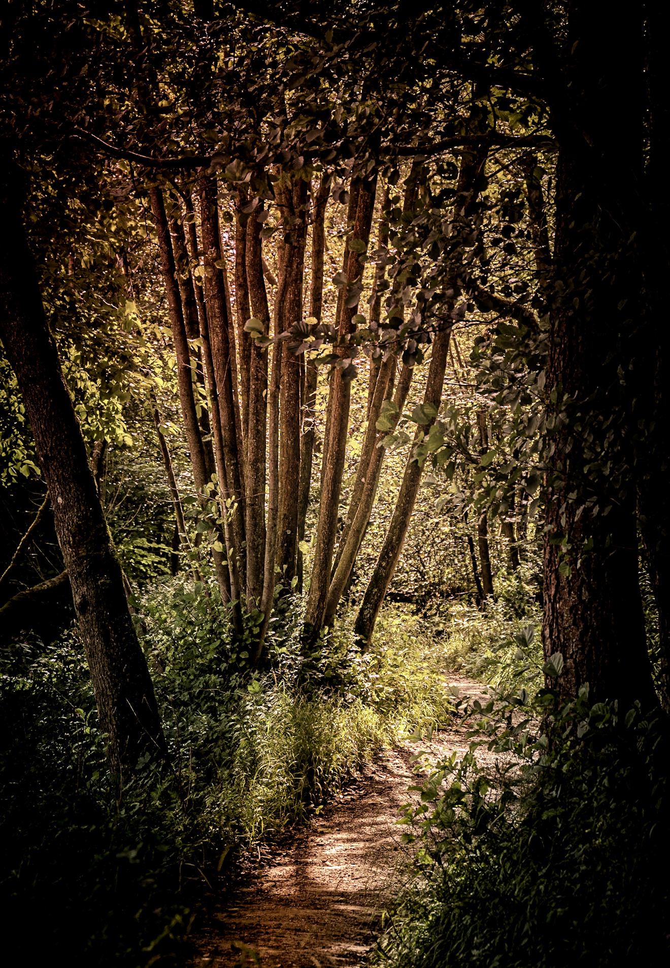 Image by Andy Ainsworth