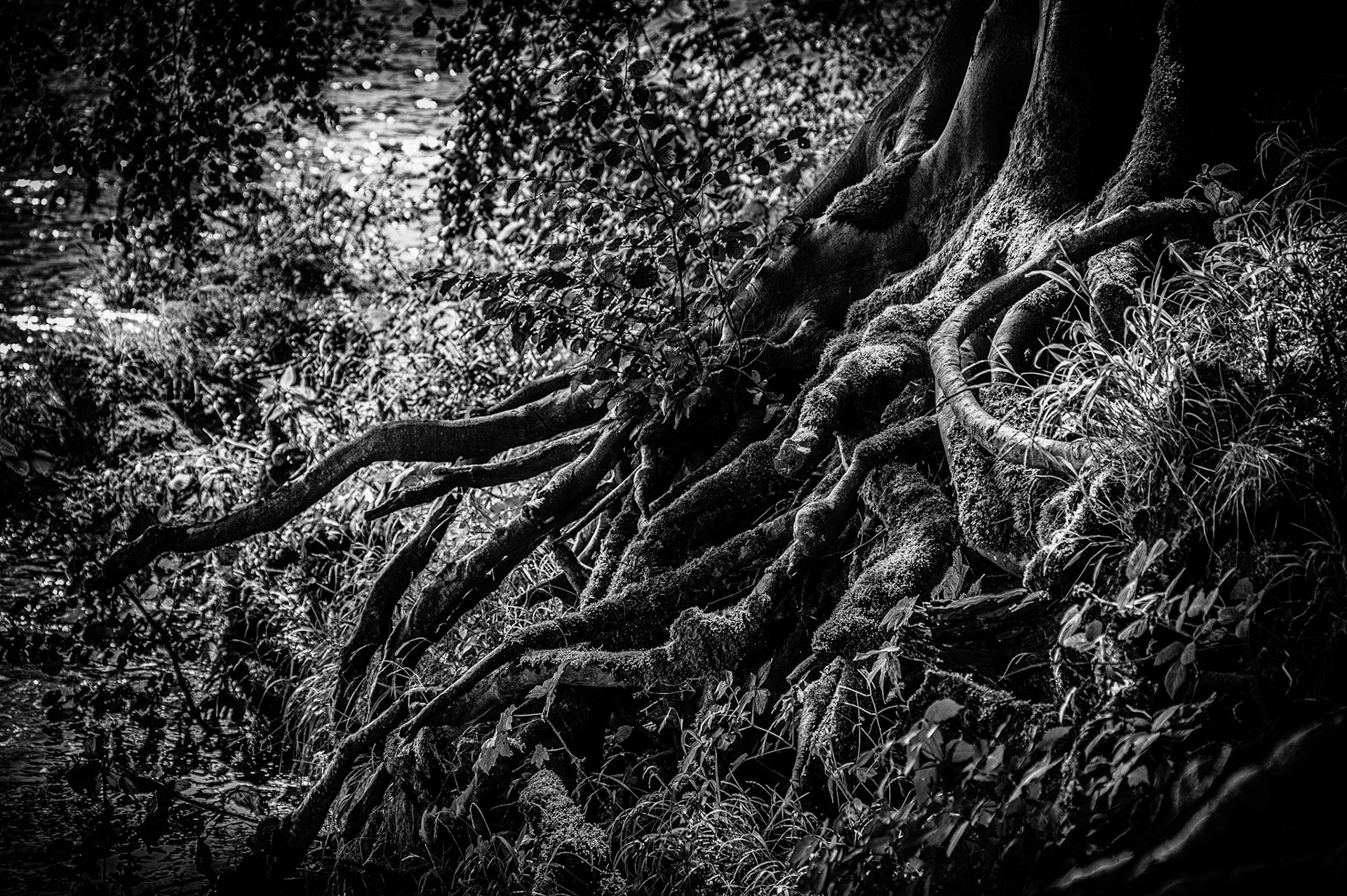 Image by Andy Ainsworth