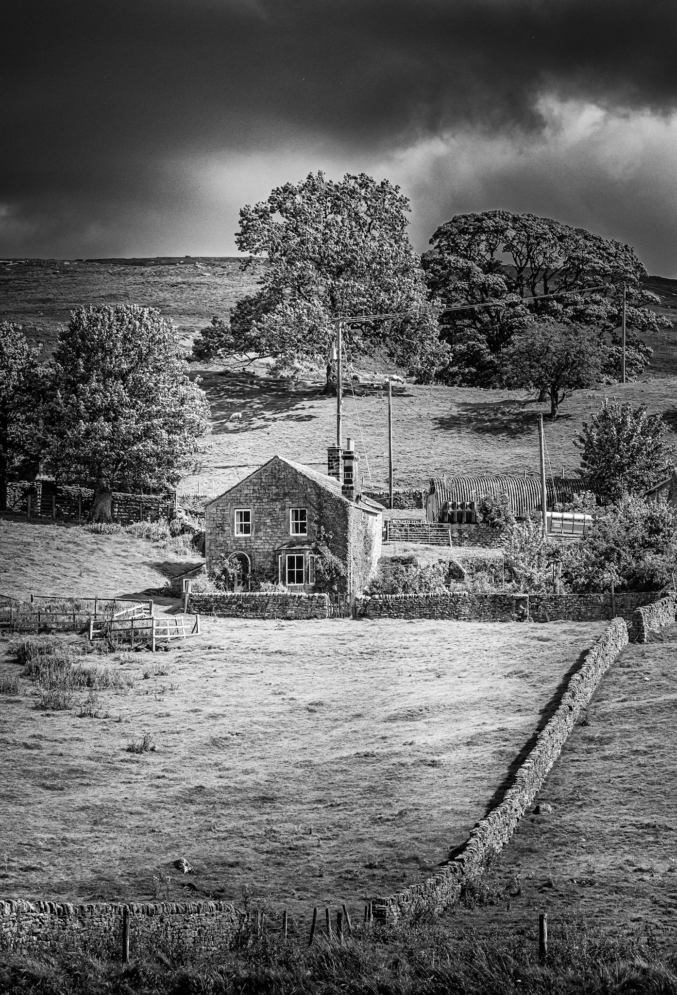 Image by Andy Ainsworth
