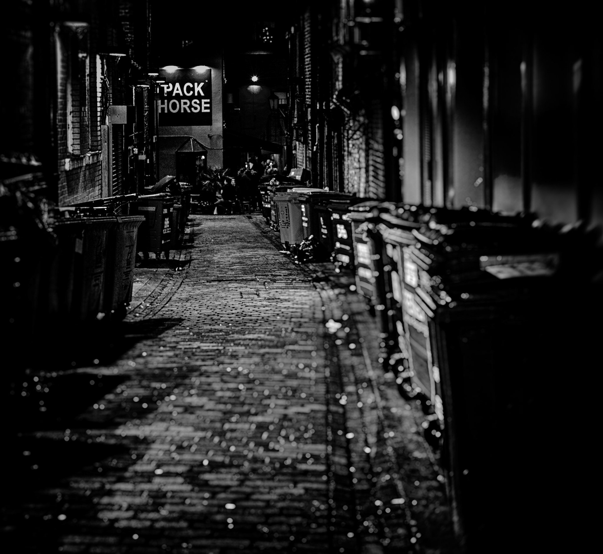 Pack Horse B&W Leeds