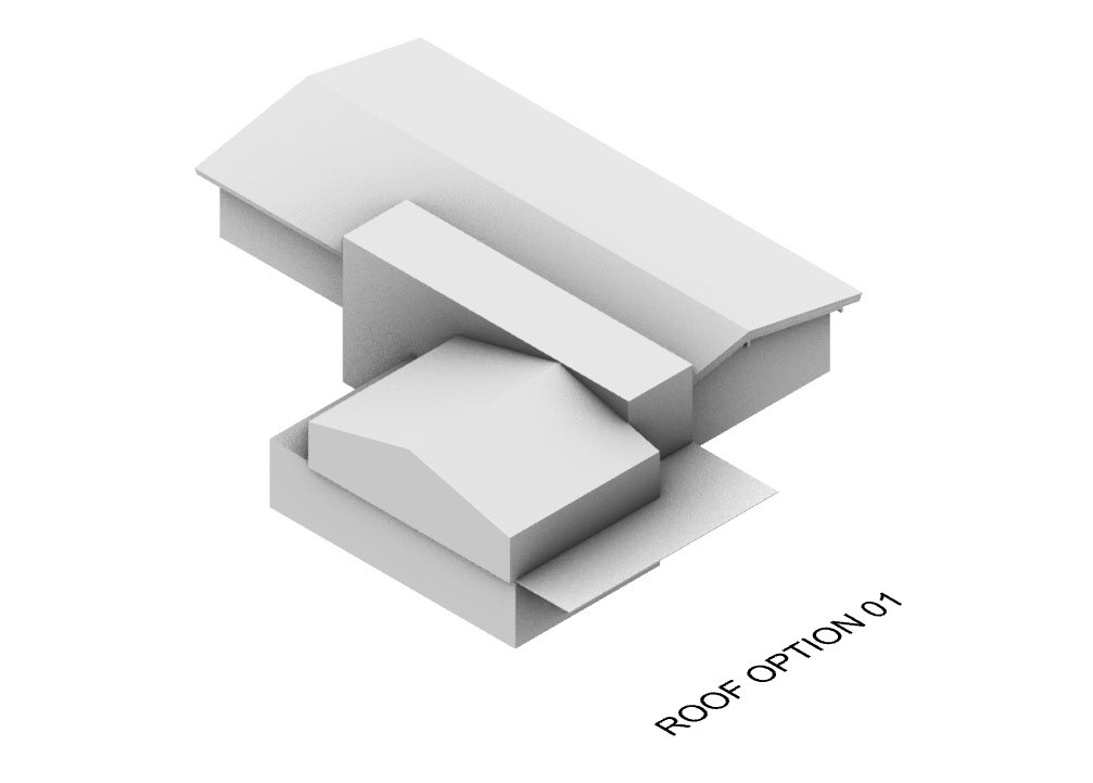 ROOF OPTION 01 MASSING MODEL STUDY