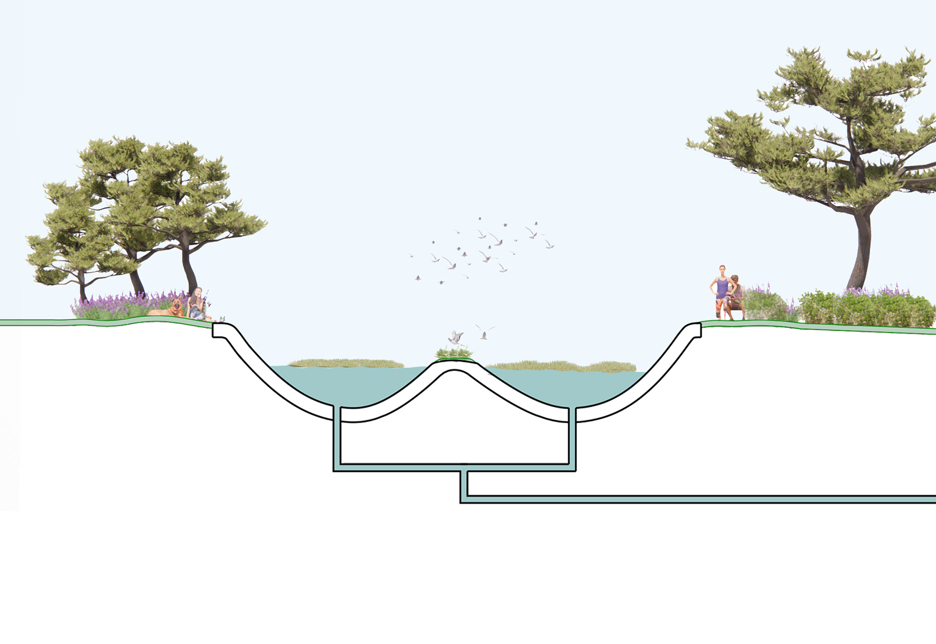 ecology typology 2.0