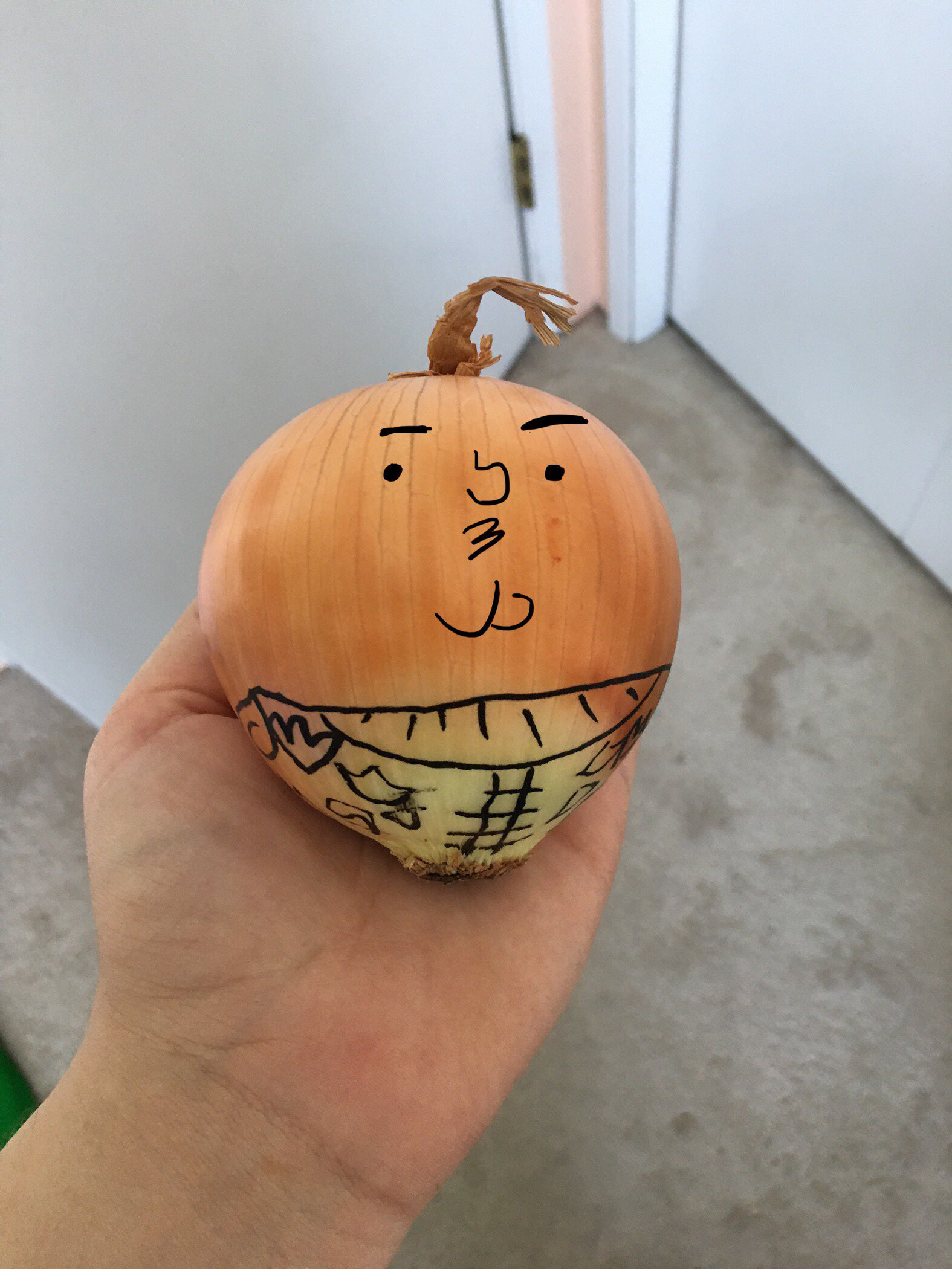 Human/onion Shrek by by Haf3vdokikhan