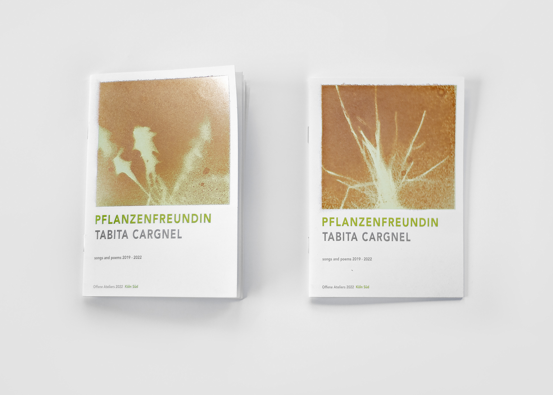 Young dandelion and grass | Poetry booklets