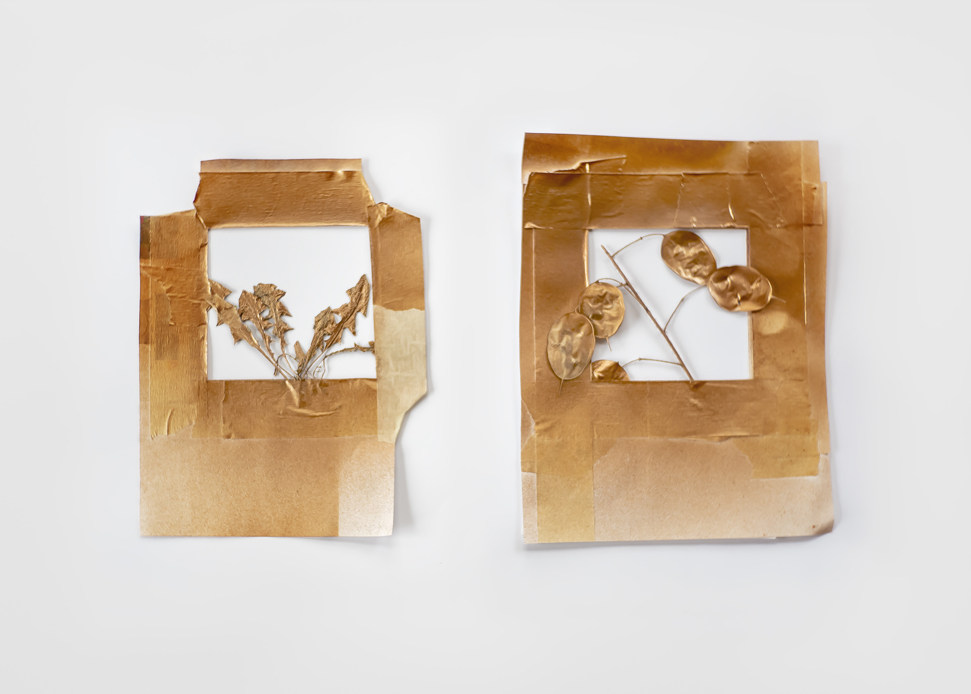 Young dandelion and Lunaria Honesty | Poetry booklet stencils