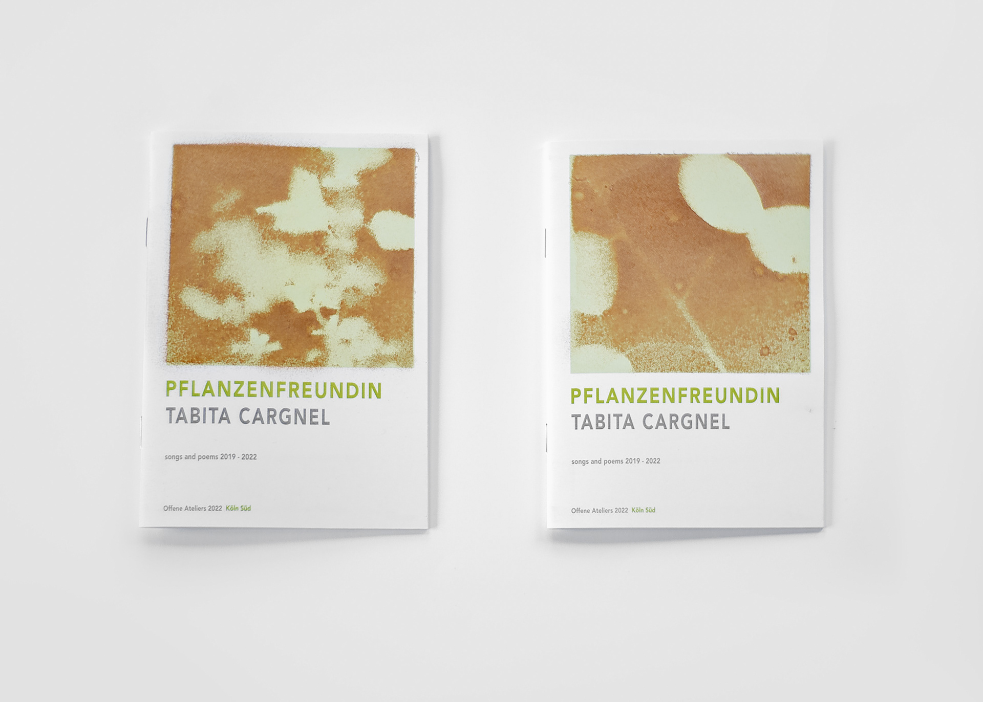 Lemon balm [Melissa officinalis] and Lunaria Honesty from our studio garden | Poetry booklets