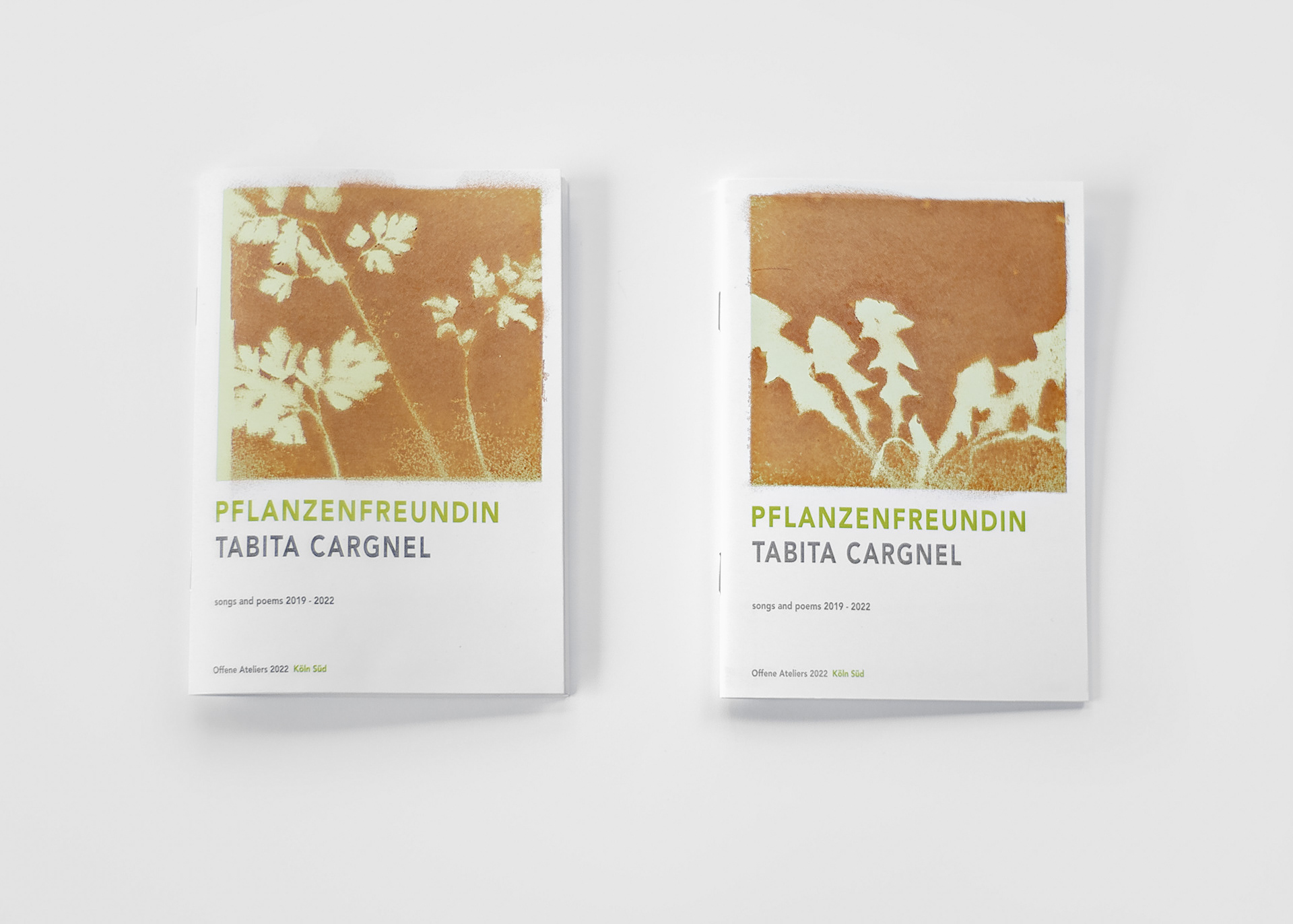 Wild parsley and young dandelion | Poetry booklets