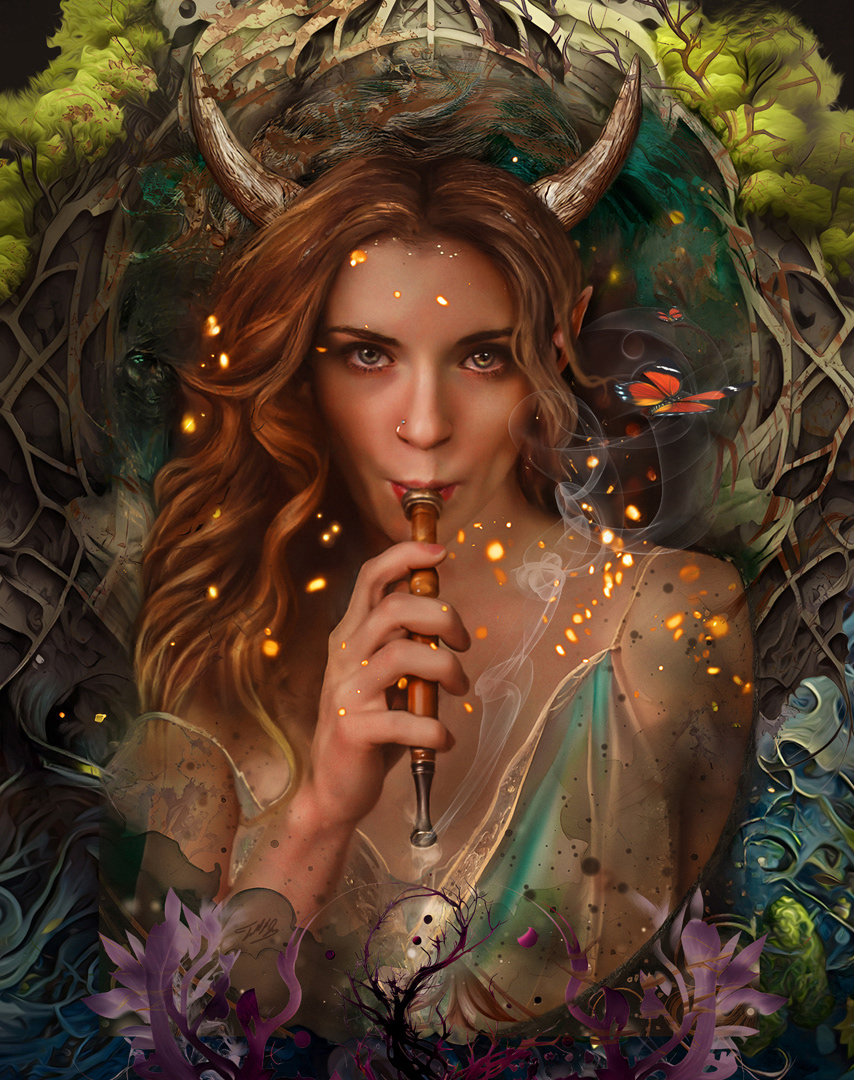 The Illuminated Mind