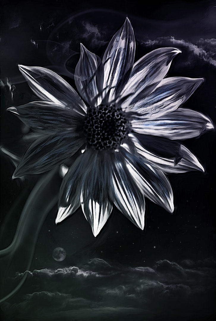 Mood Flower