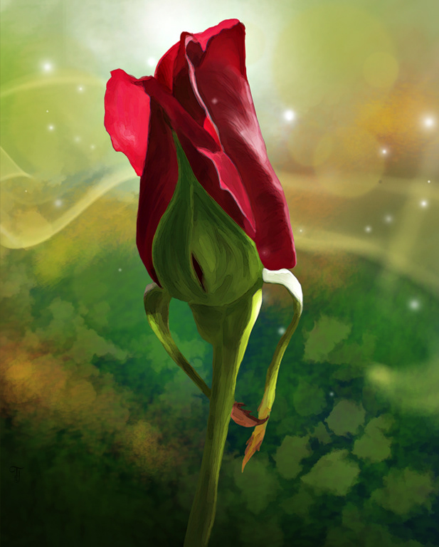 Painted Rose