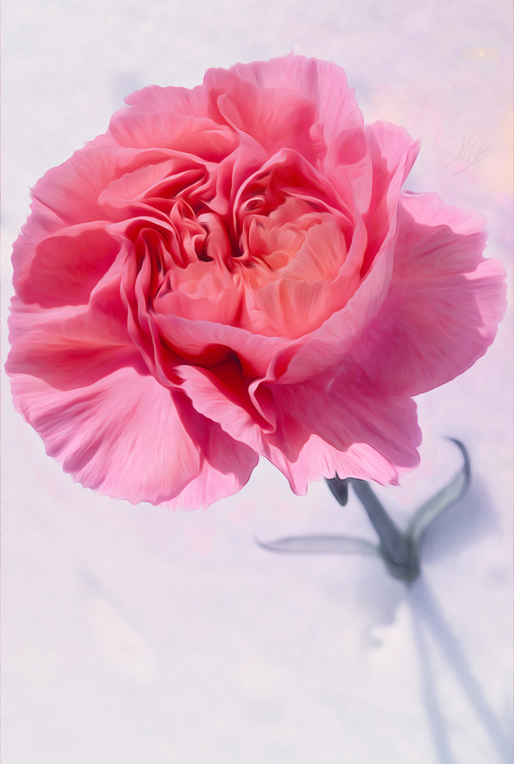 Solara's Flower