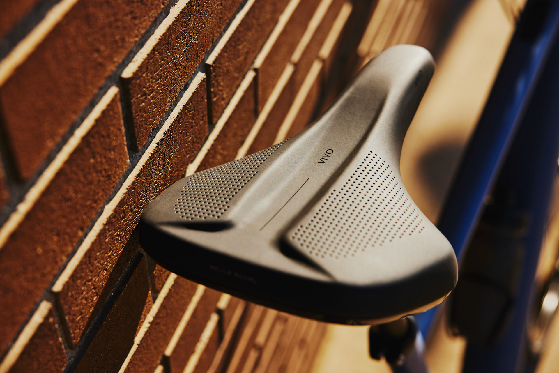 Momentum Outdoor Shoot