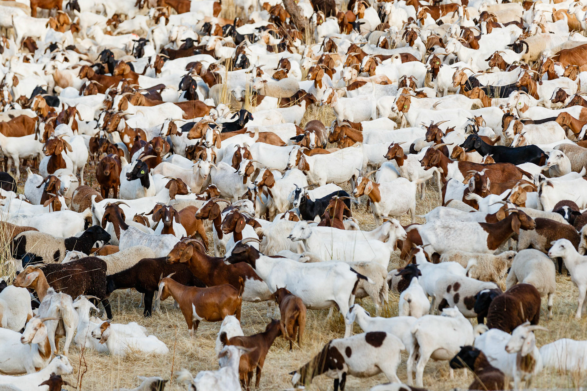 personal work - random travel