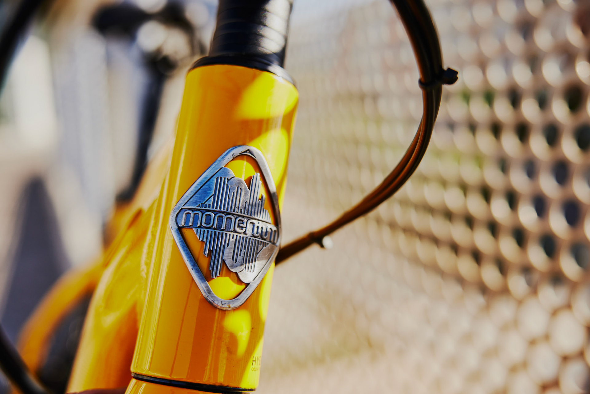 Momentum Outdoor Shoot