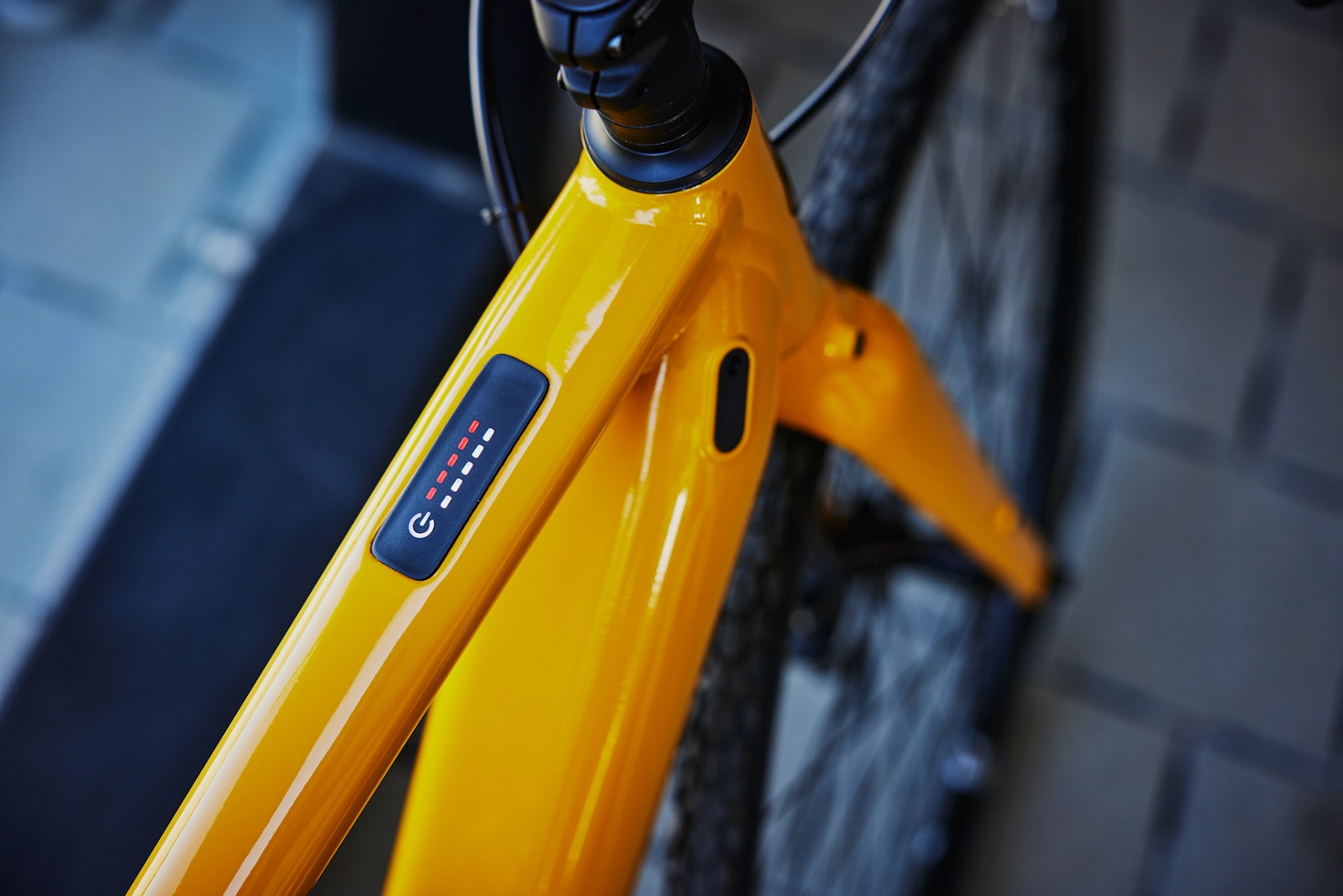 Momentum Outdoor Shoot